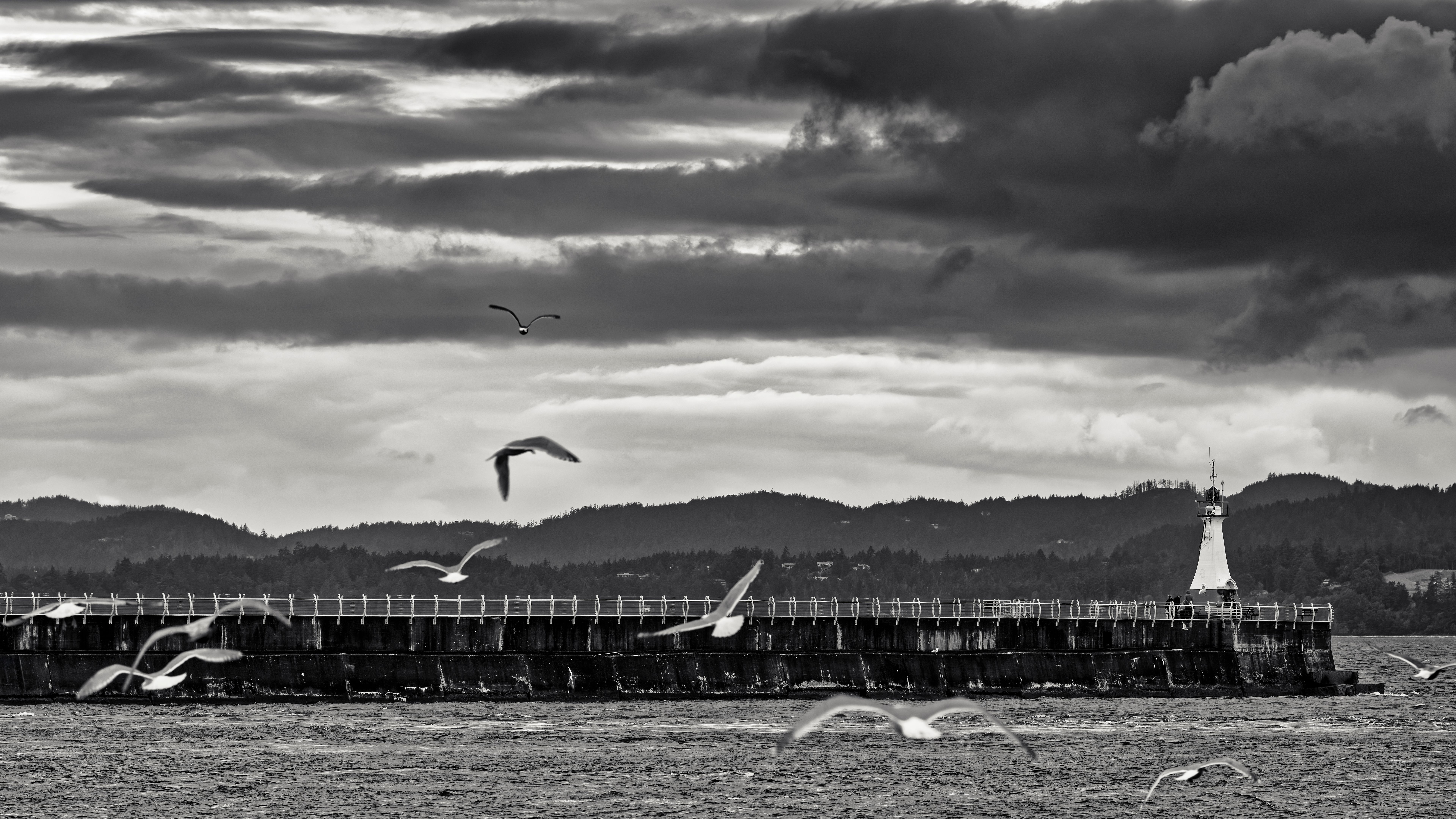 pacific northwest ports