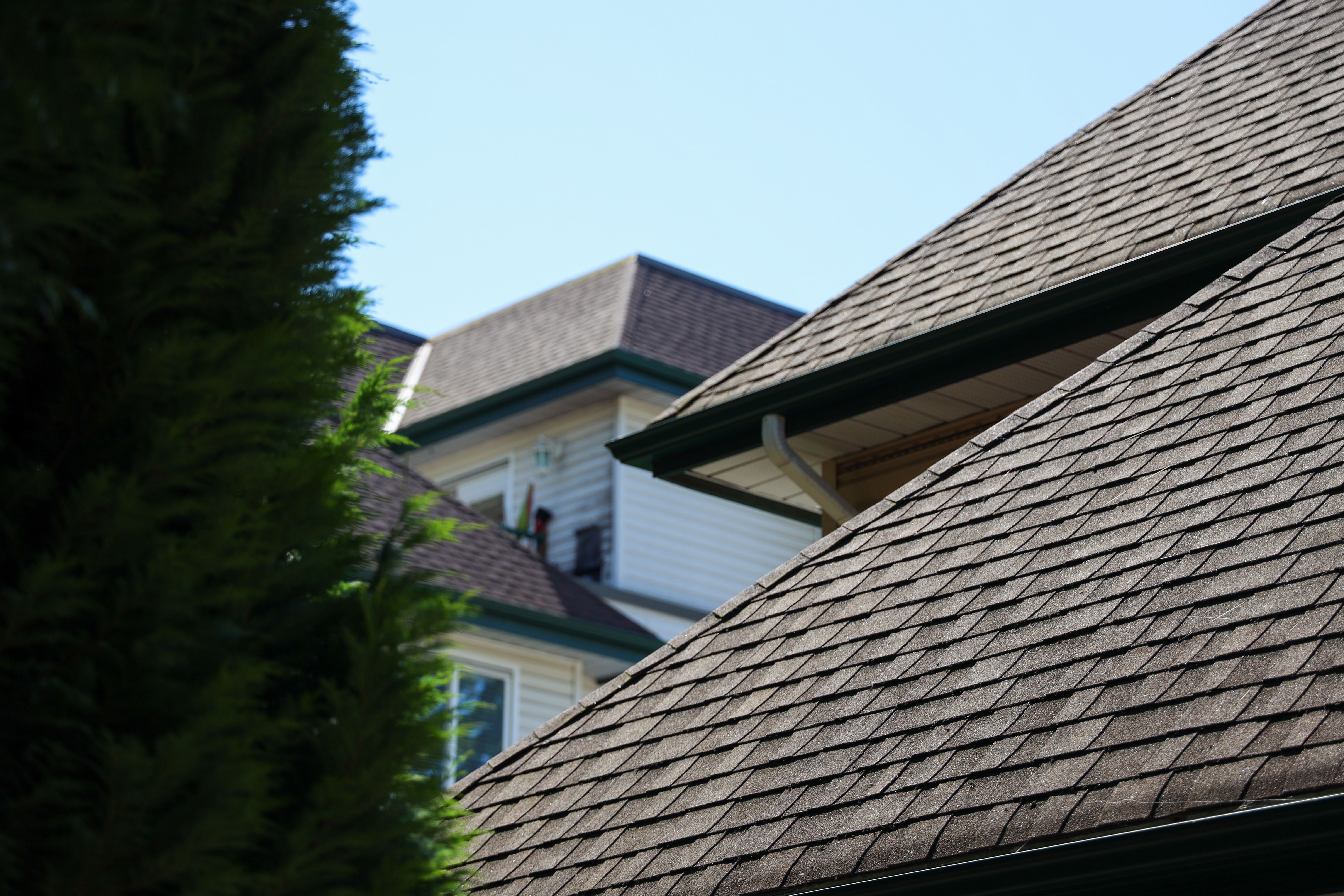 historic home roof