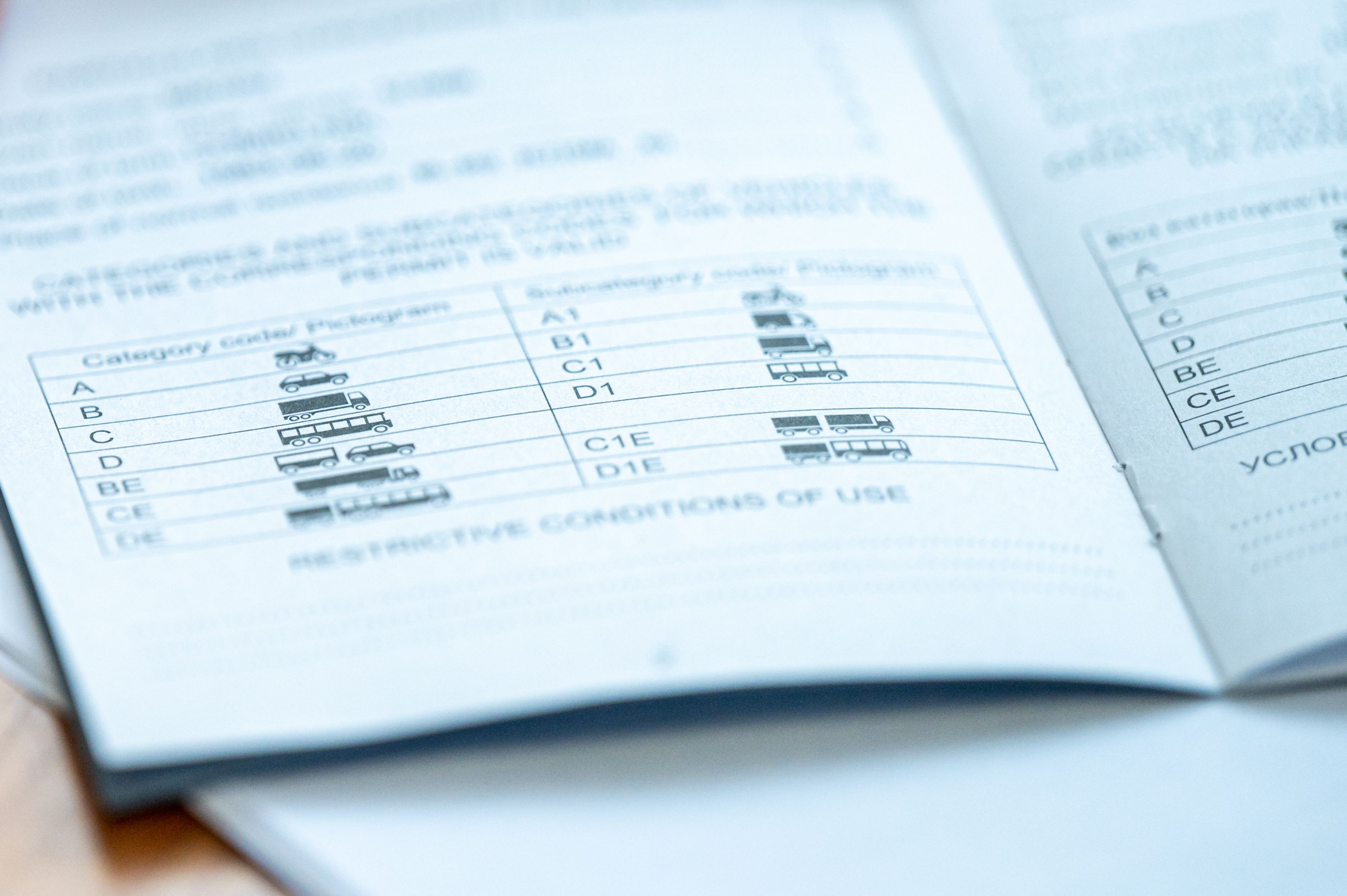 international driving permit