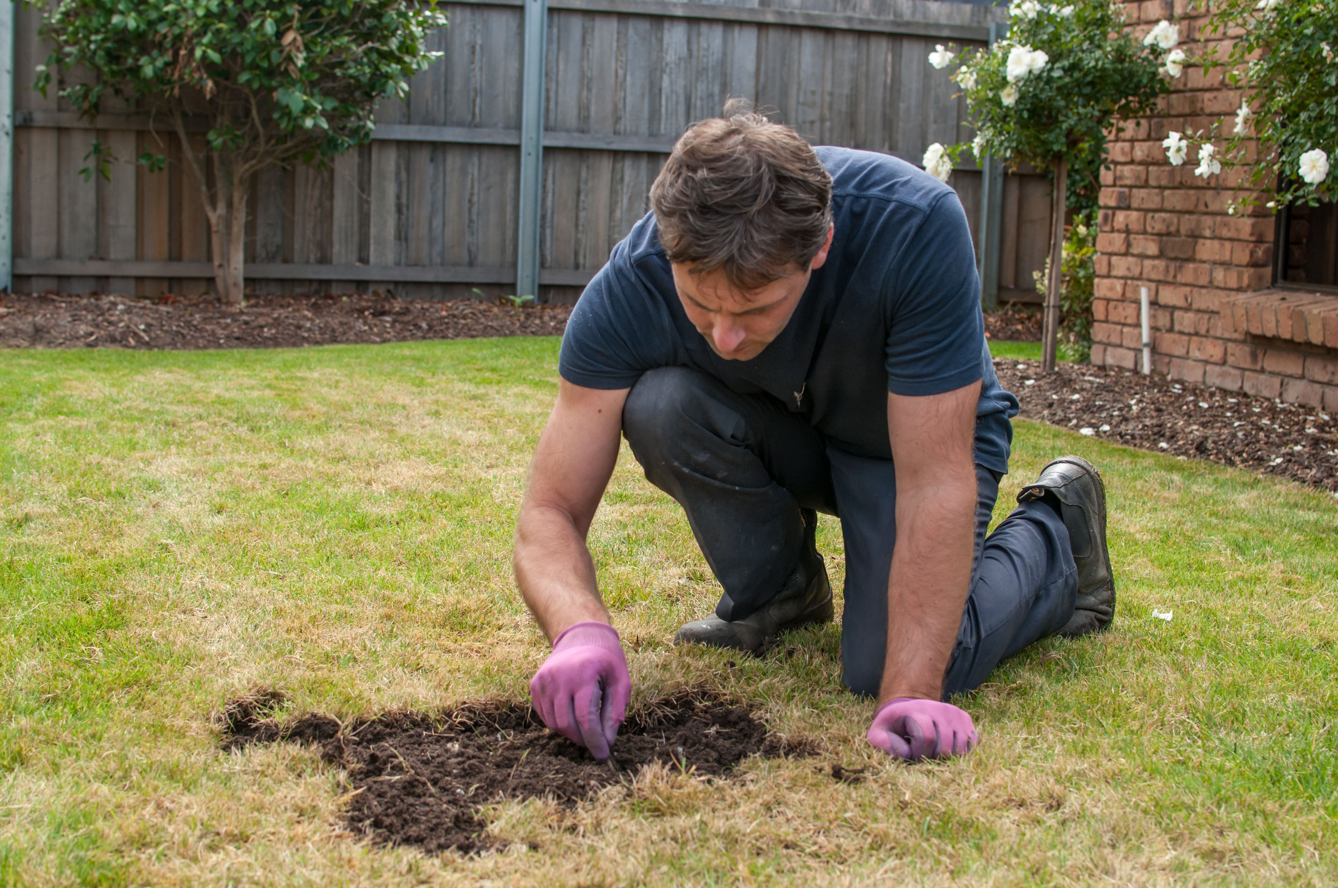 The Ultimate Guide to Lawn Maintenance in Adelaide