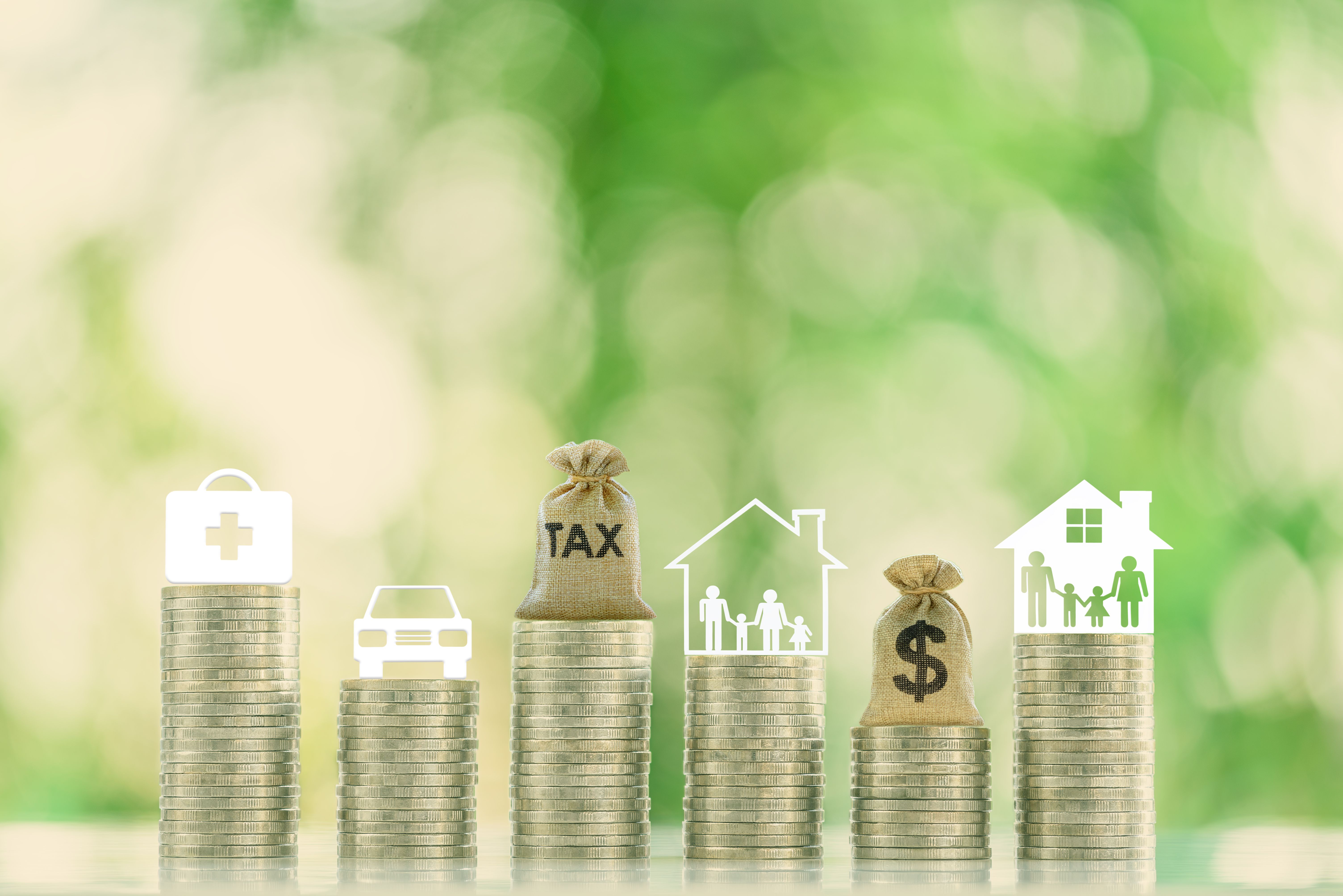 estate planning basics