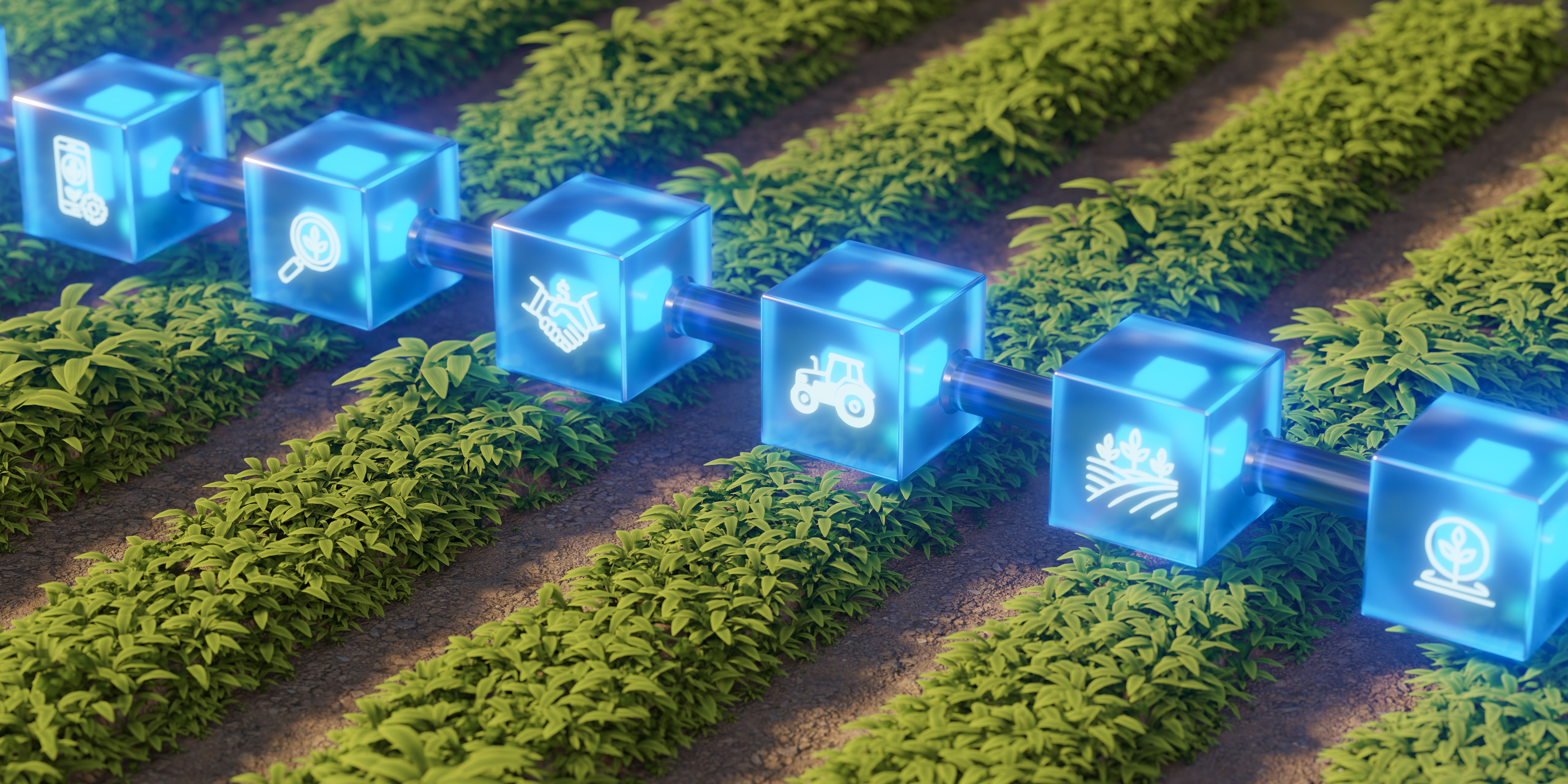 farmer blockchain