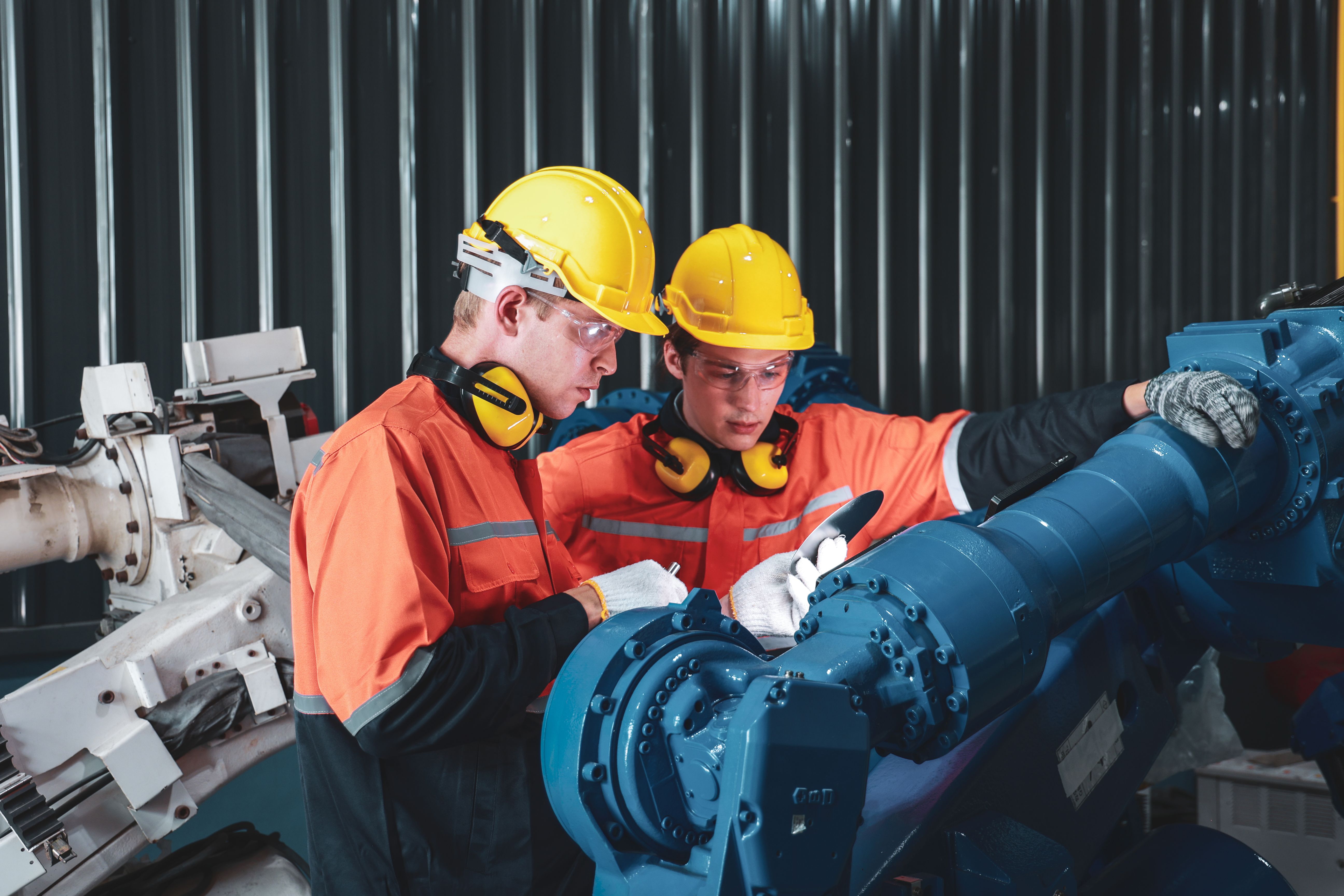 local area expertise