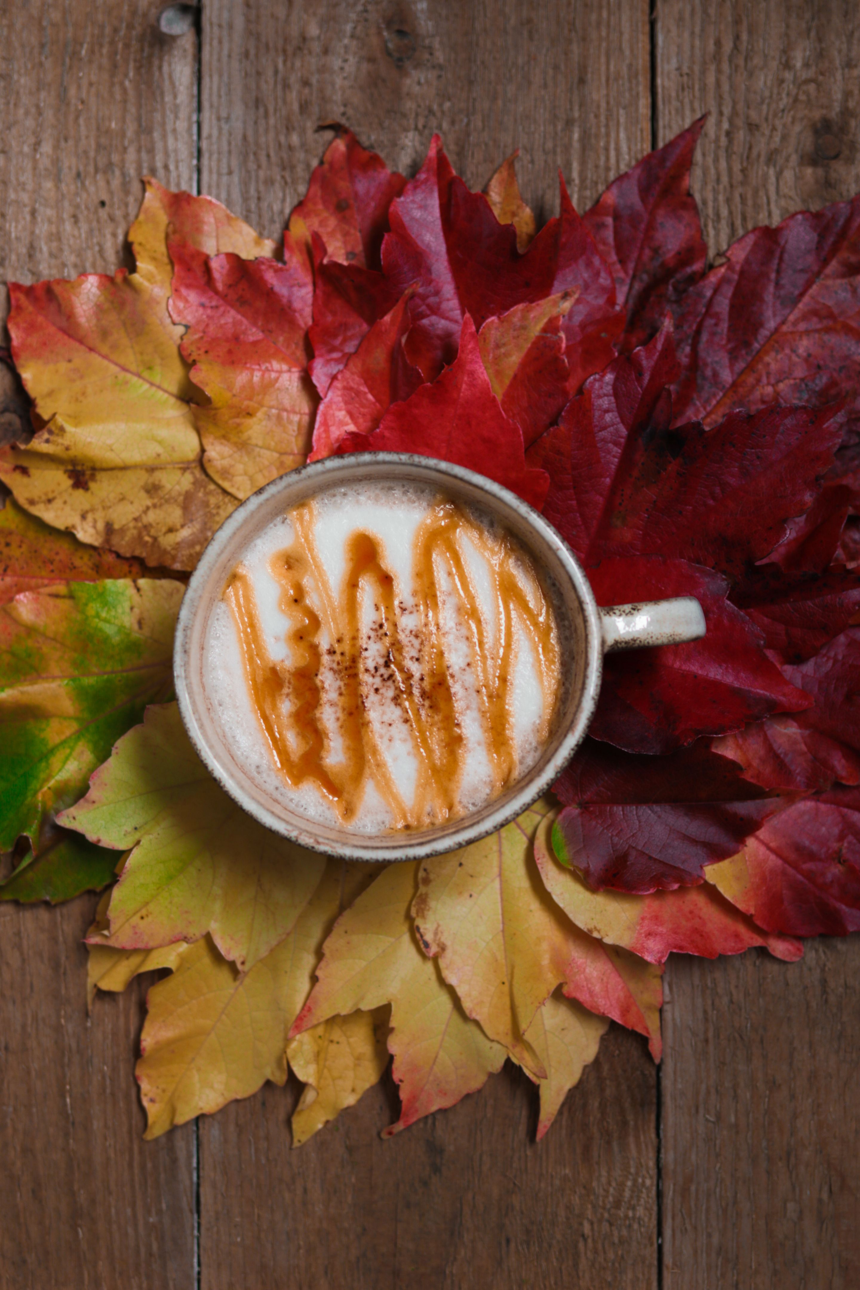 maple latte