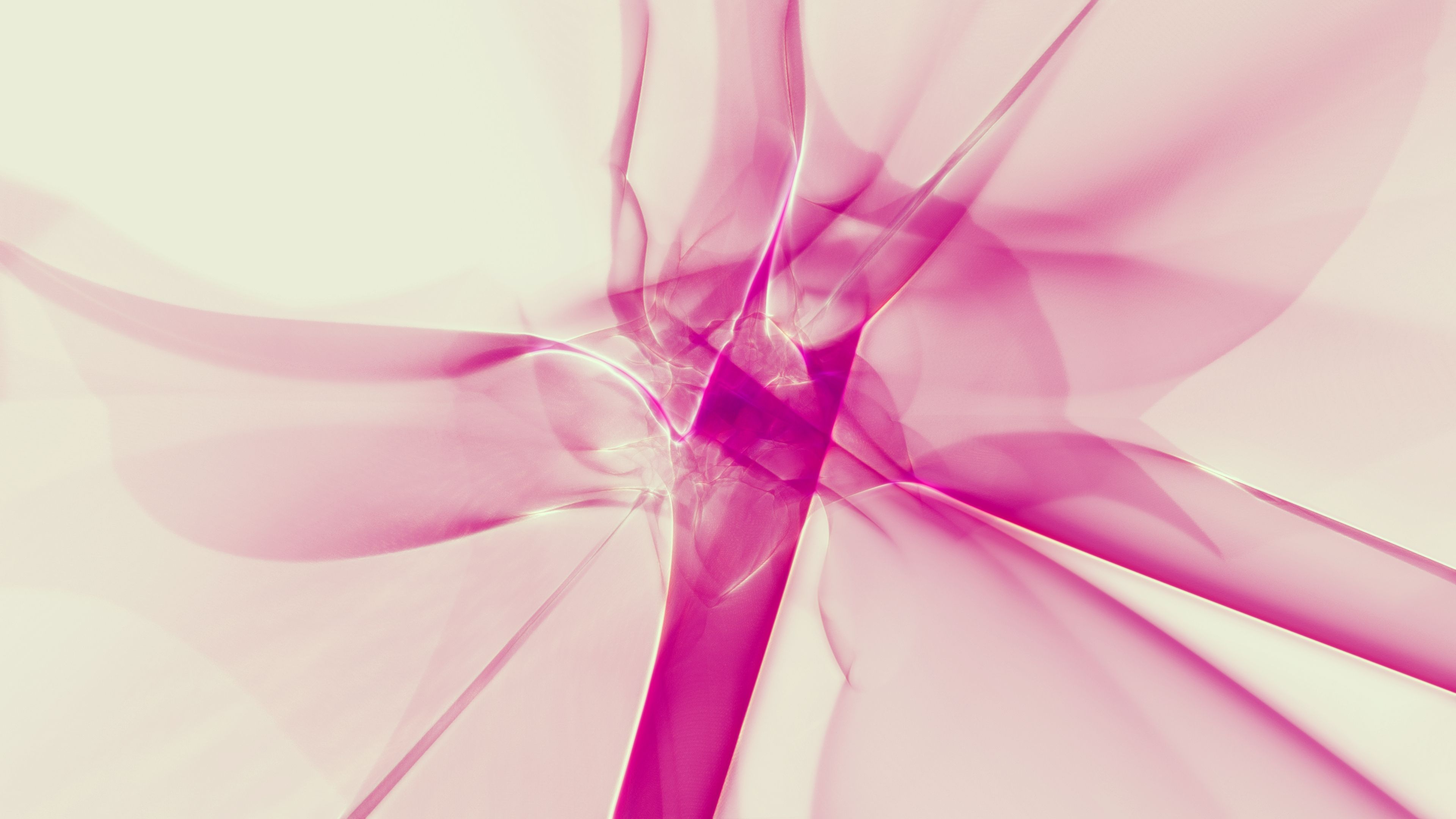 Abstract Fractal Generative Art Pink Plasma Energy Force Field on White Landing Page Background Abstract Fractal Generative Art Pink Plasma Energy Force Field on White Landing Page Background