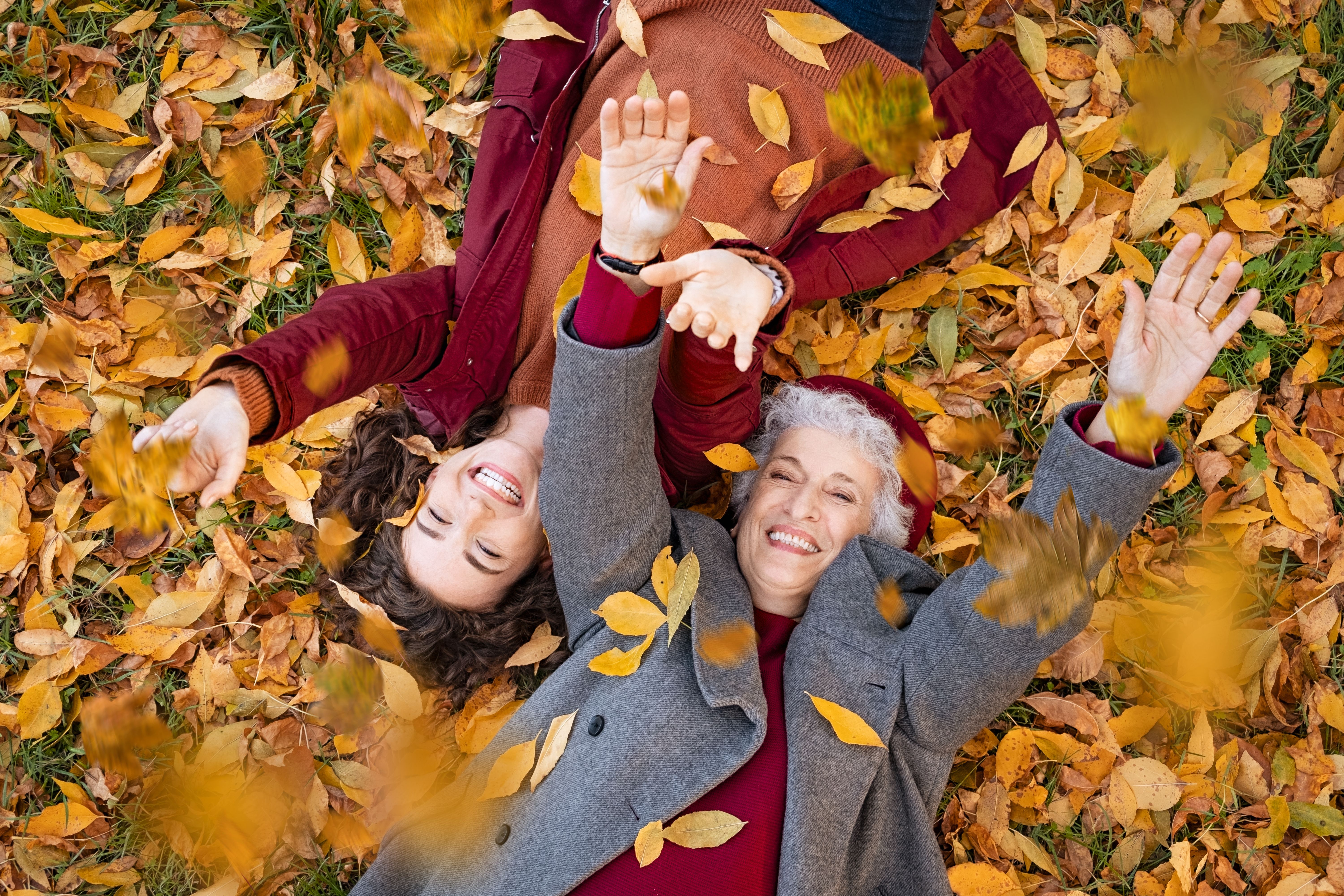 senior autumn leaves