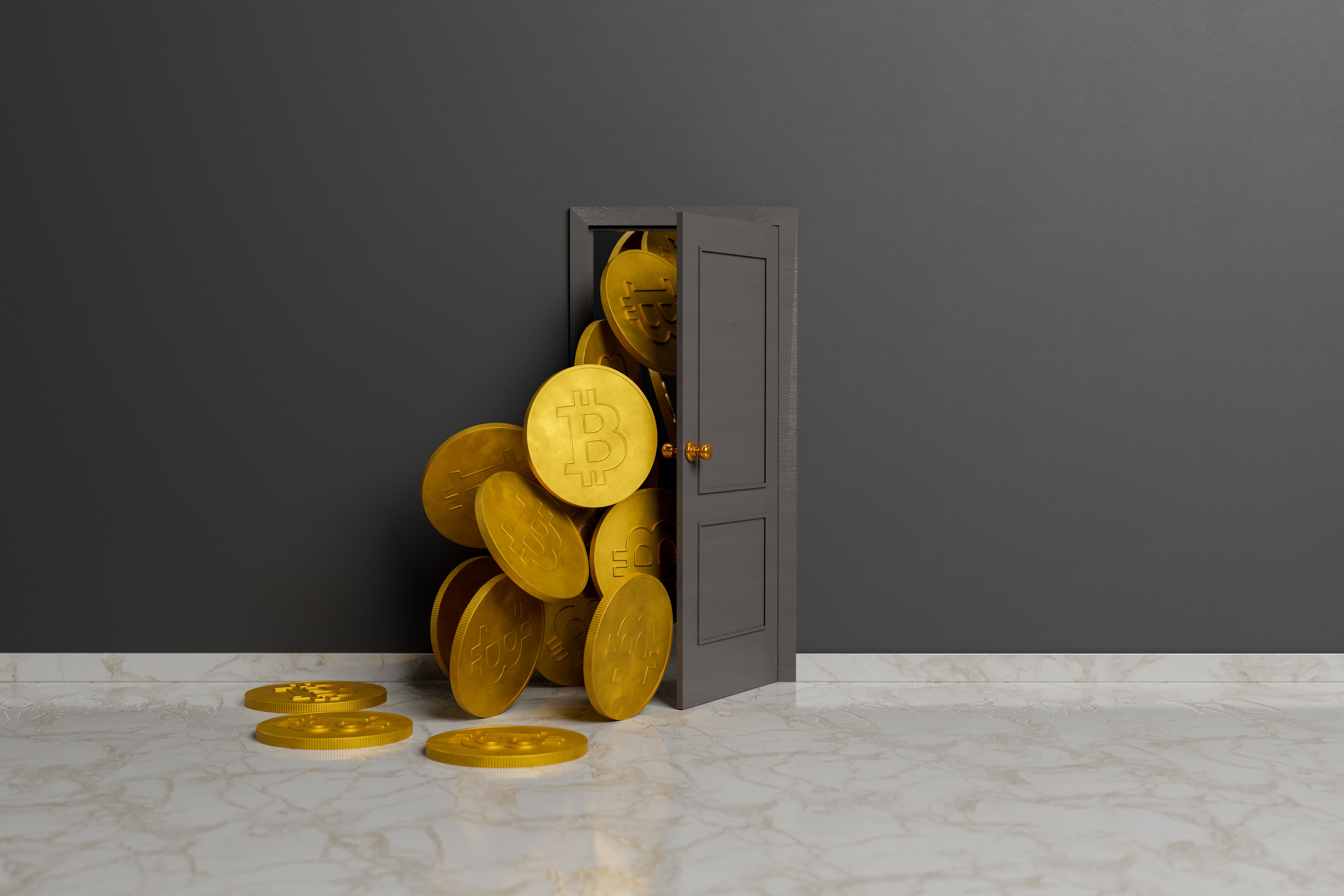 bitcoin adoption