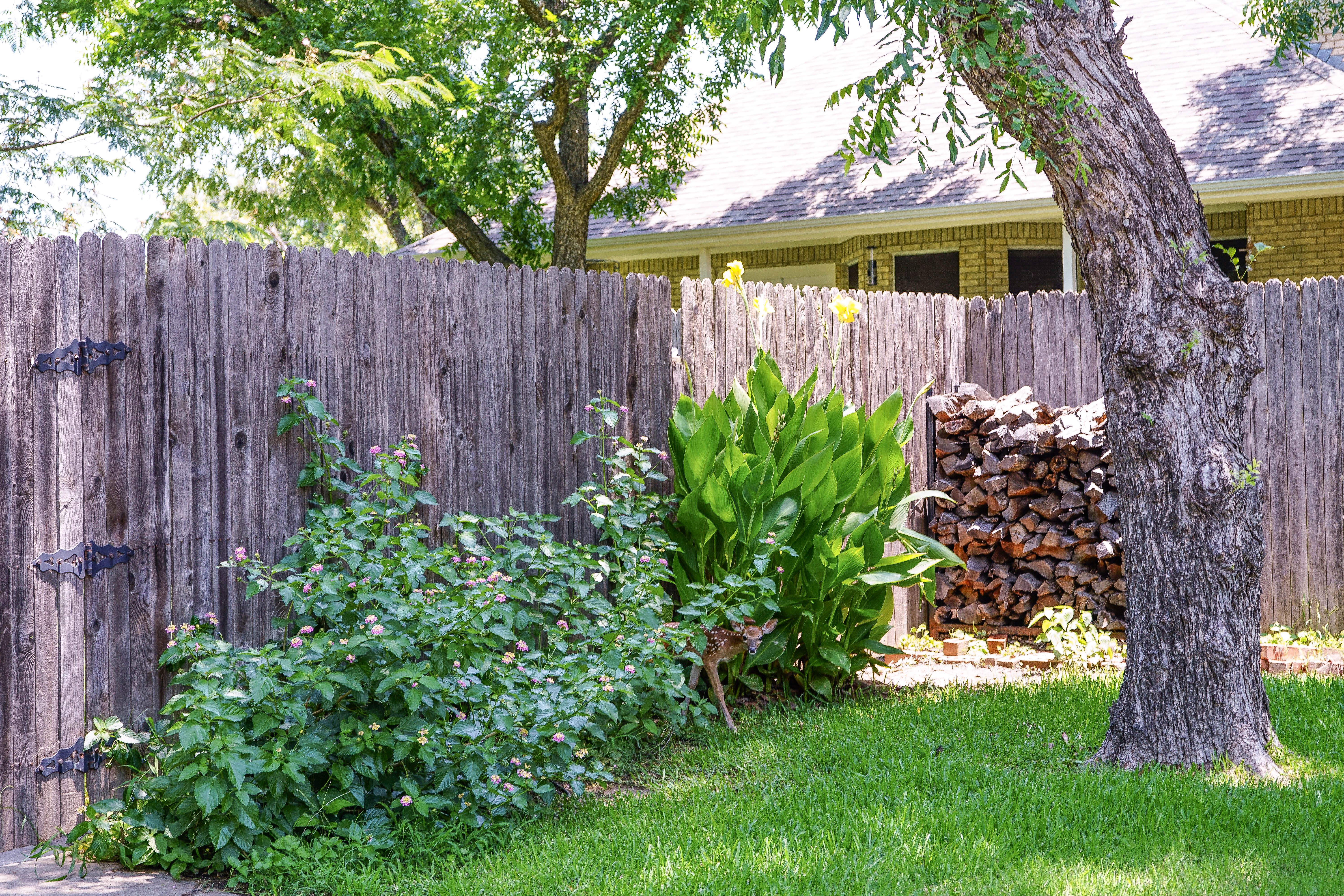 texas garden care