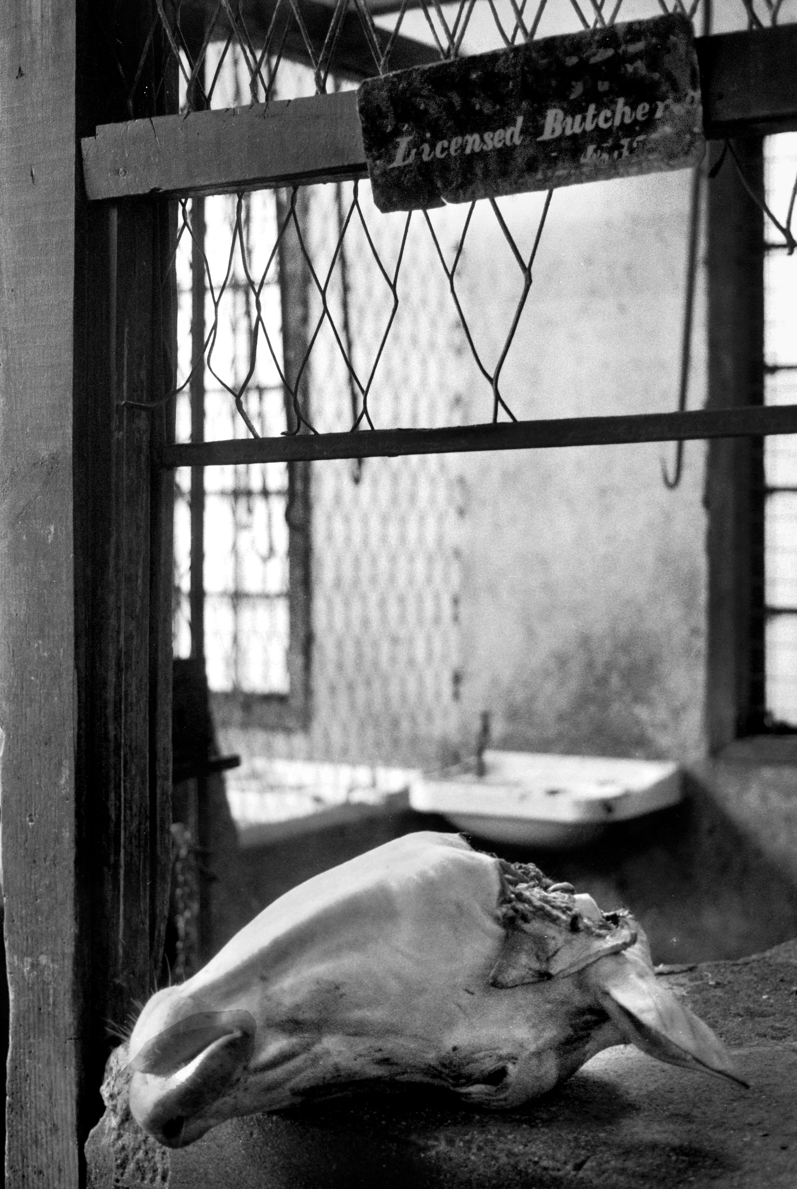 licensed products store