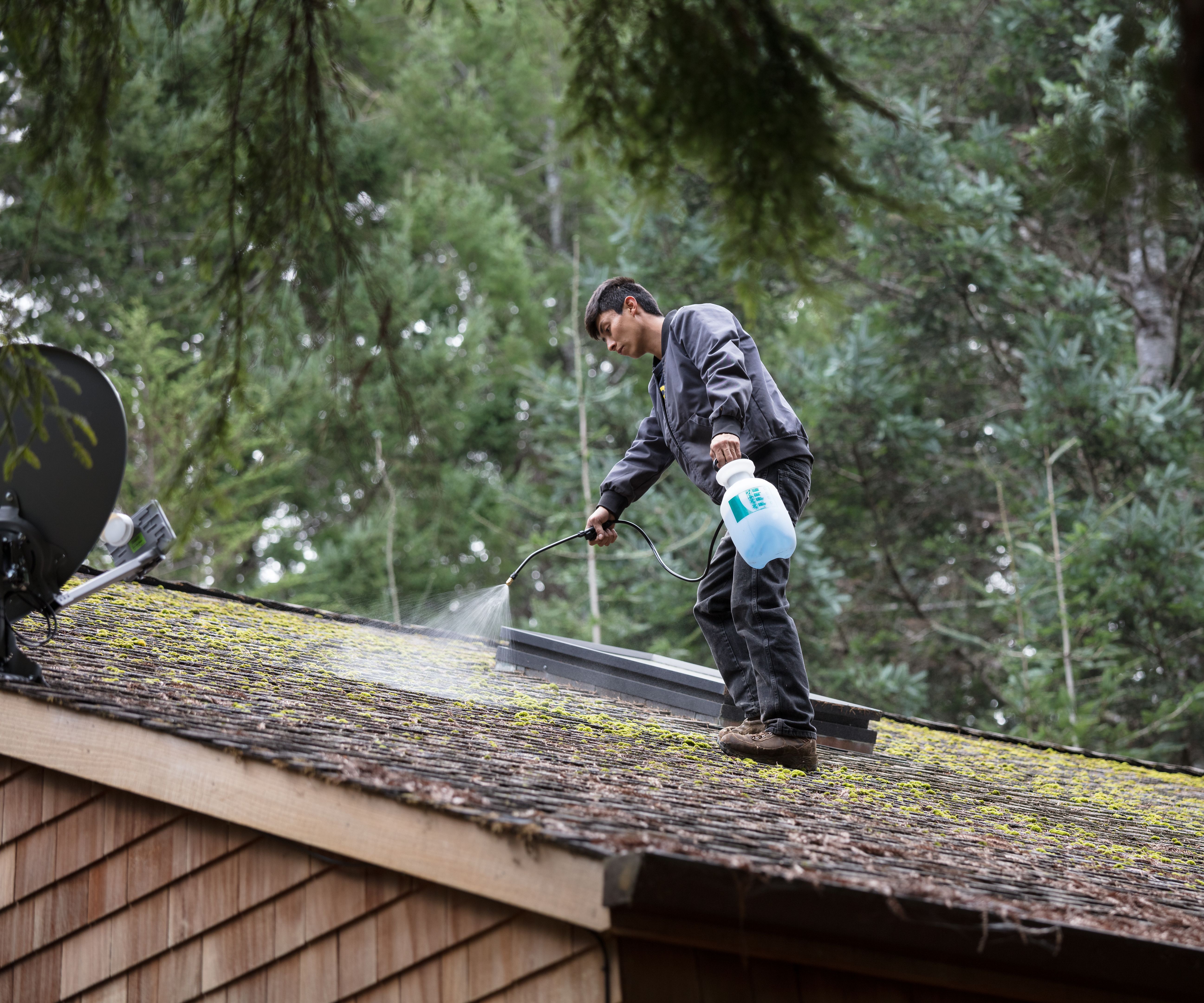 cleaning roof moss