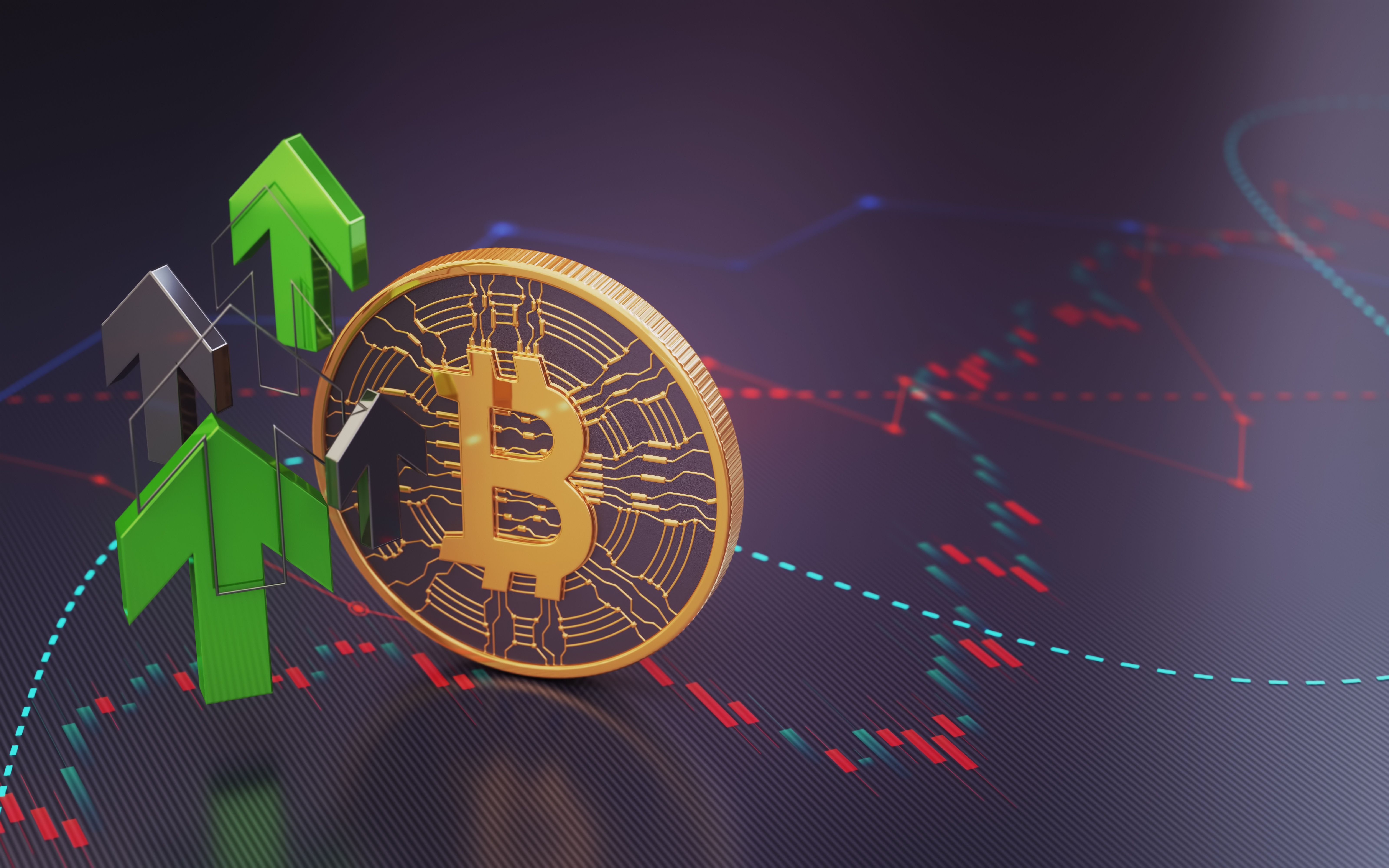 bitcoin growth