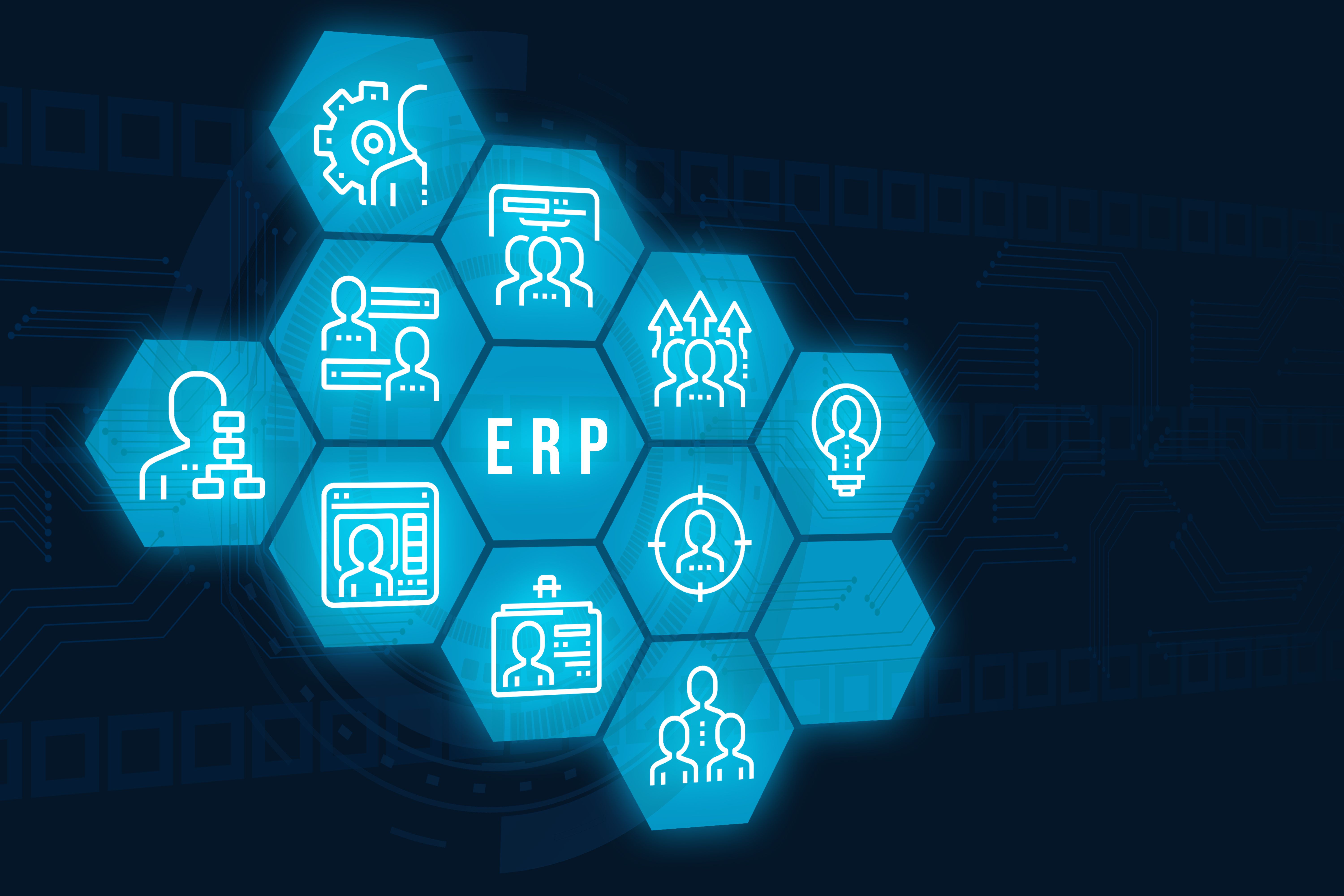 Enterprise Resource Planning or ERP