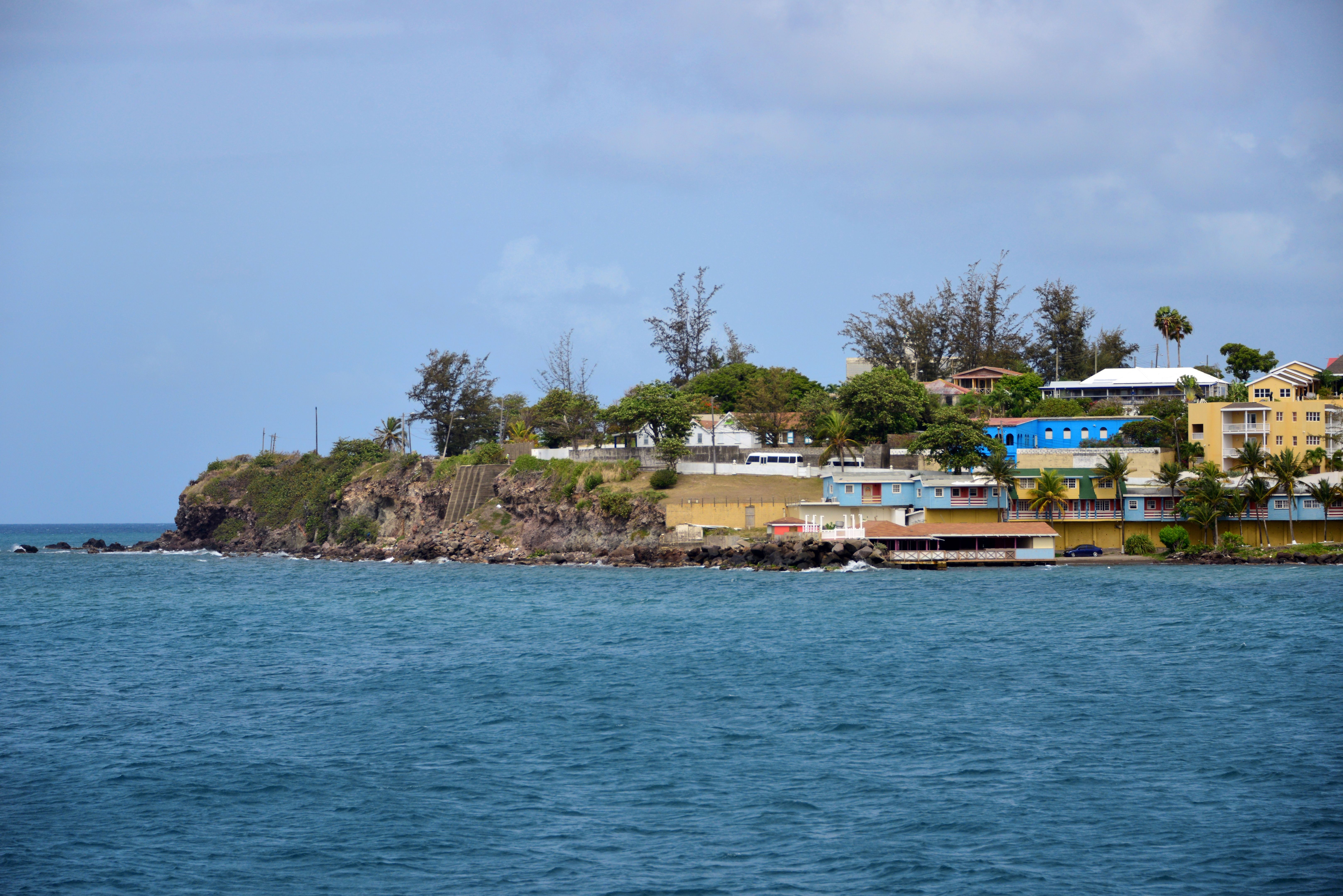 saint kitts business