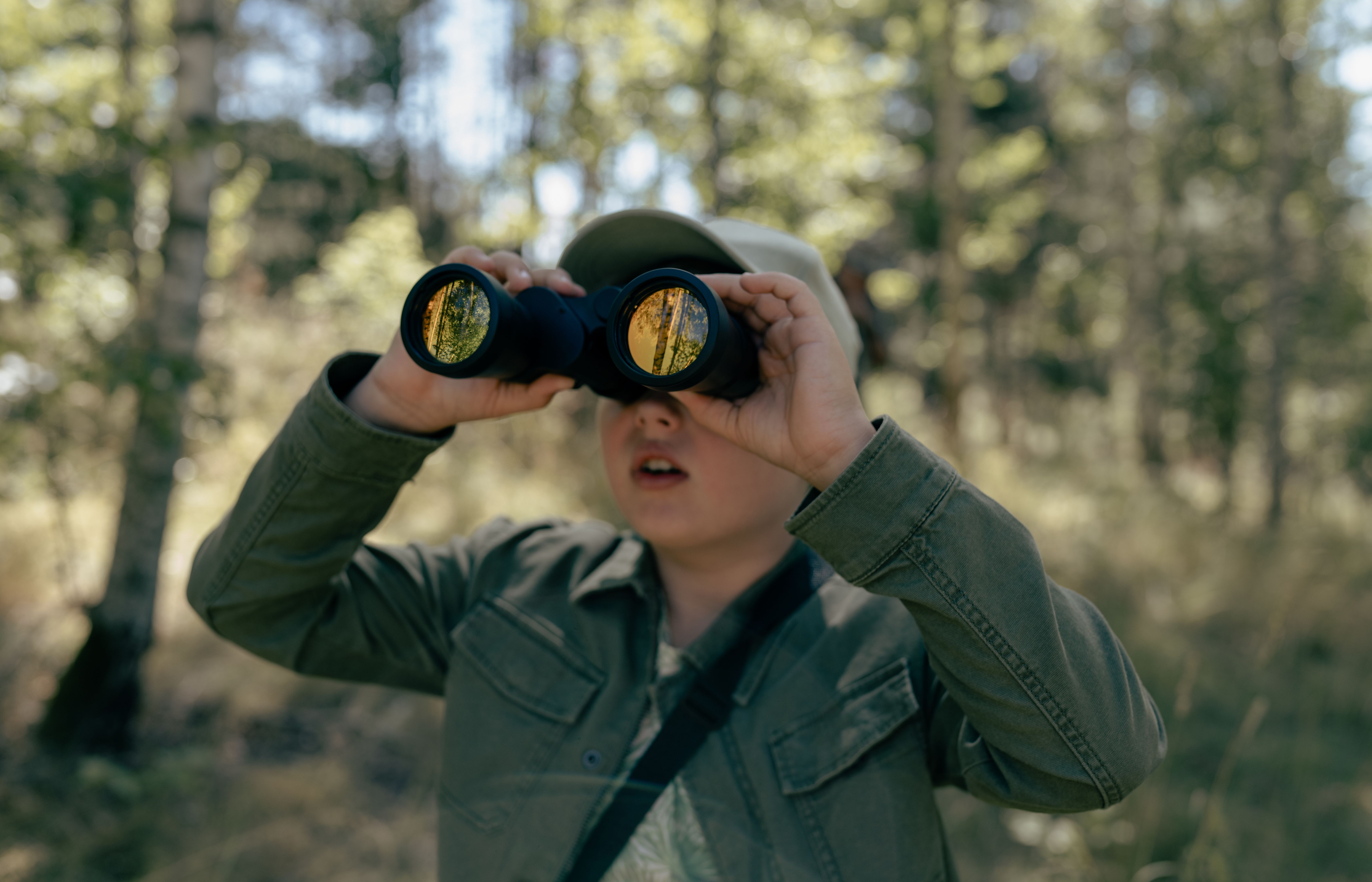 children bird watching