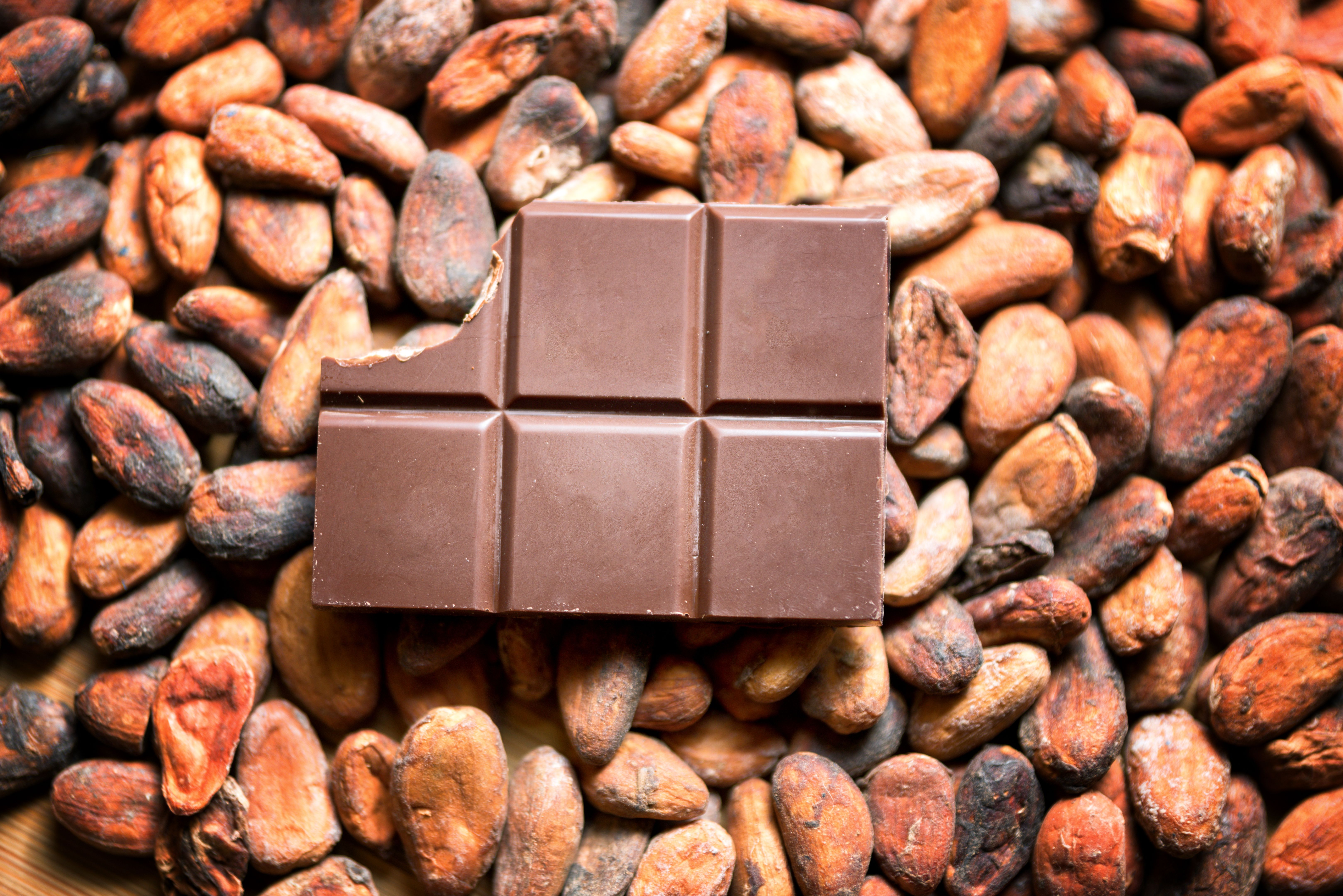 Dark Chocolate Bar Dark Chocolate Bar