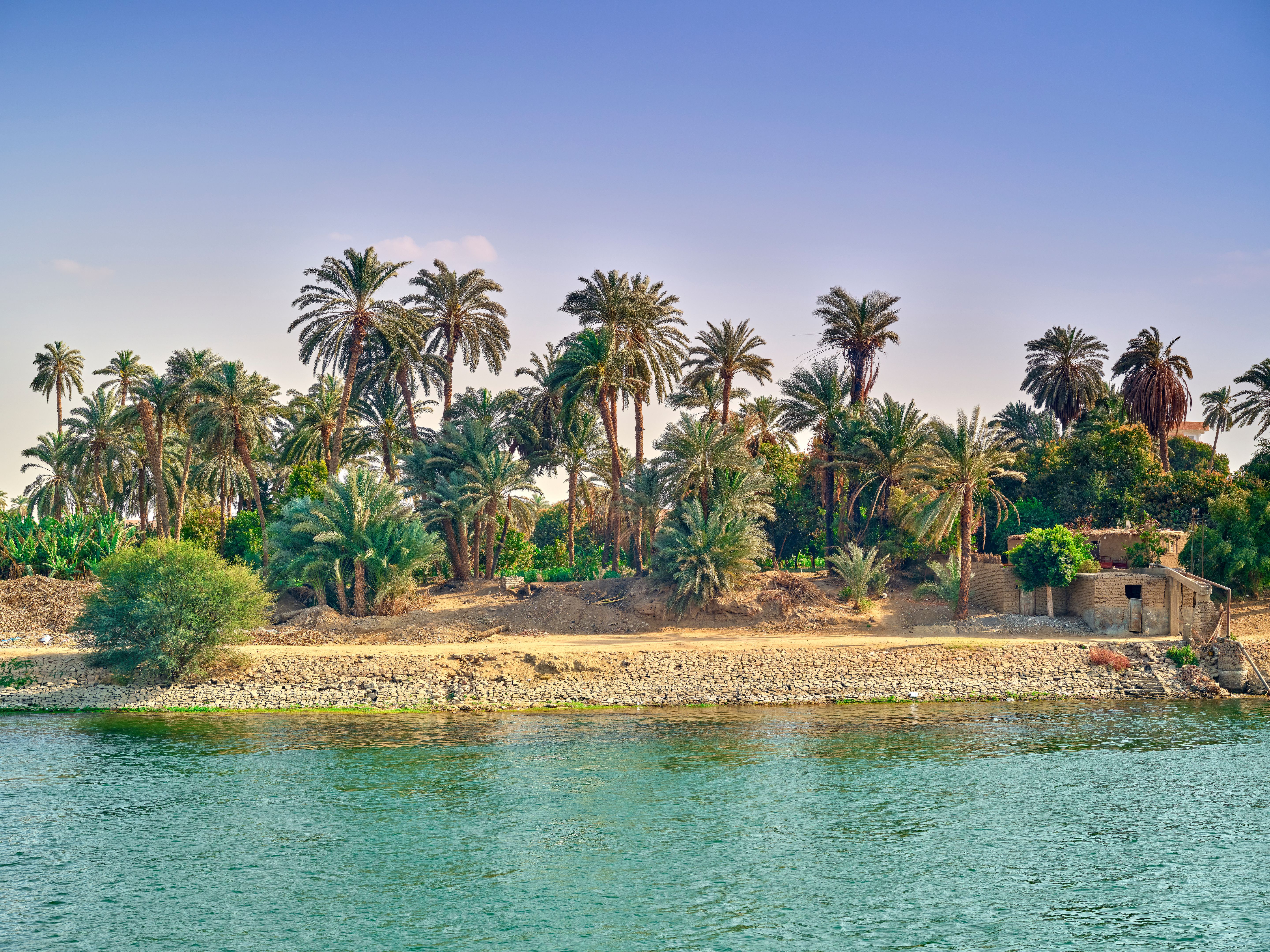 Sailing along the banks of the Nile amidst the lush greenery and palm trees of Egypt, capturing a serene and picturesque riverside landscape reflecting rich culture and natural beauty.