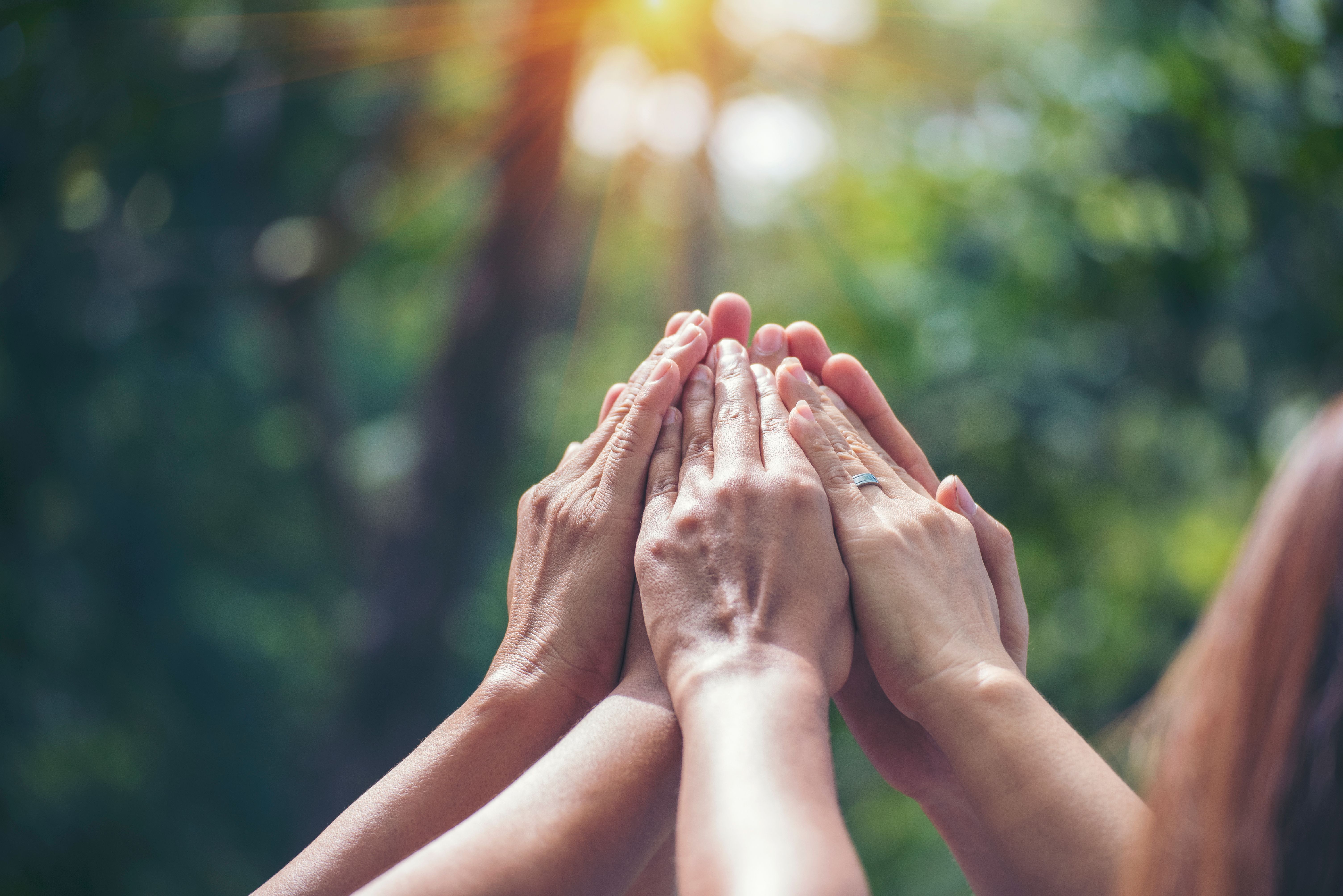 Diversity multiethnic high five group of business people success team hands together. Collaborate Volunteer friendship hands raise up mission Business partner. Group of teamwork high five together