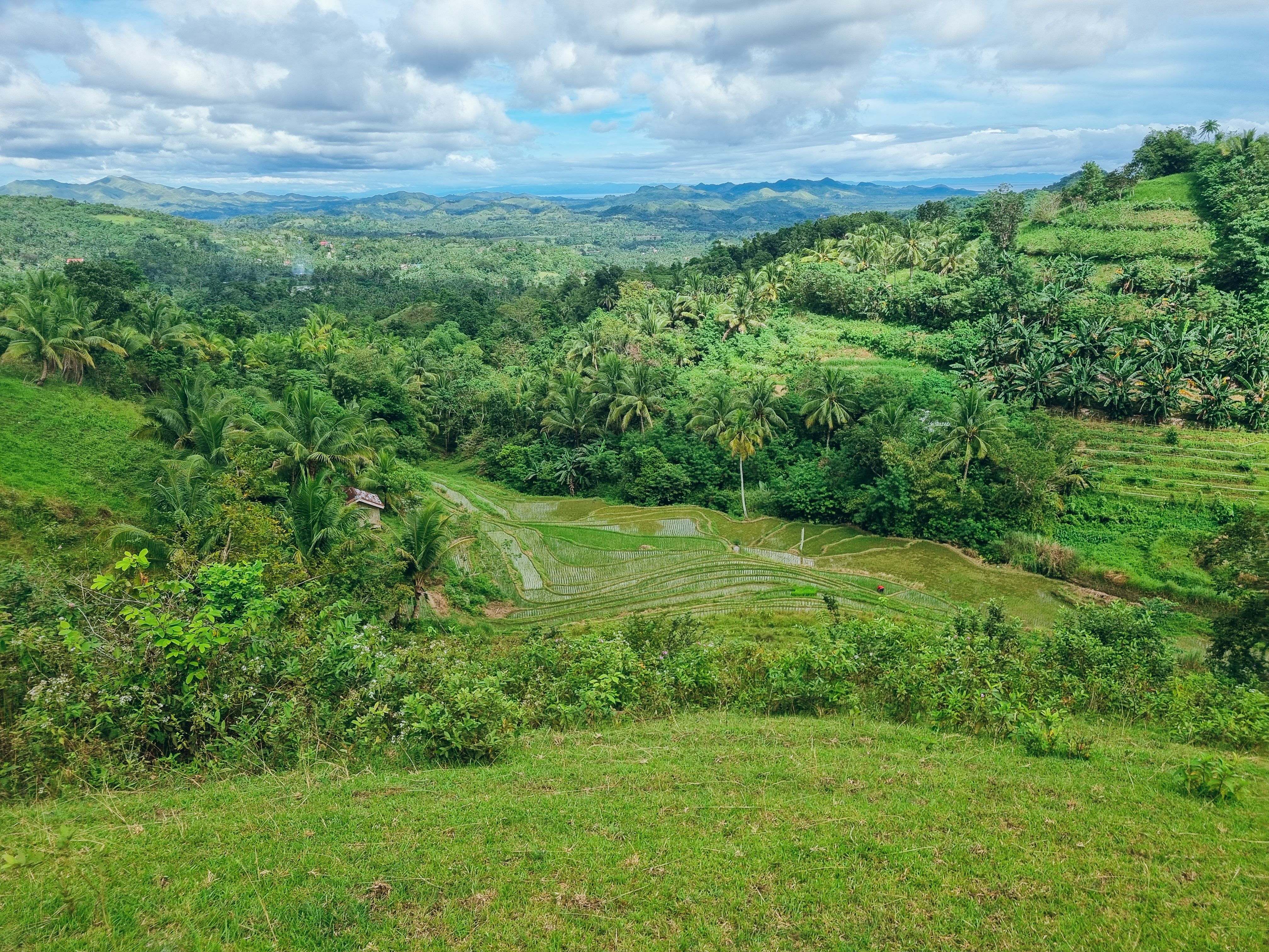 central visayas culture
