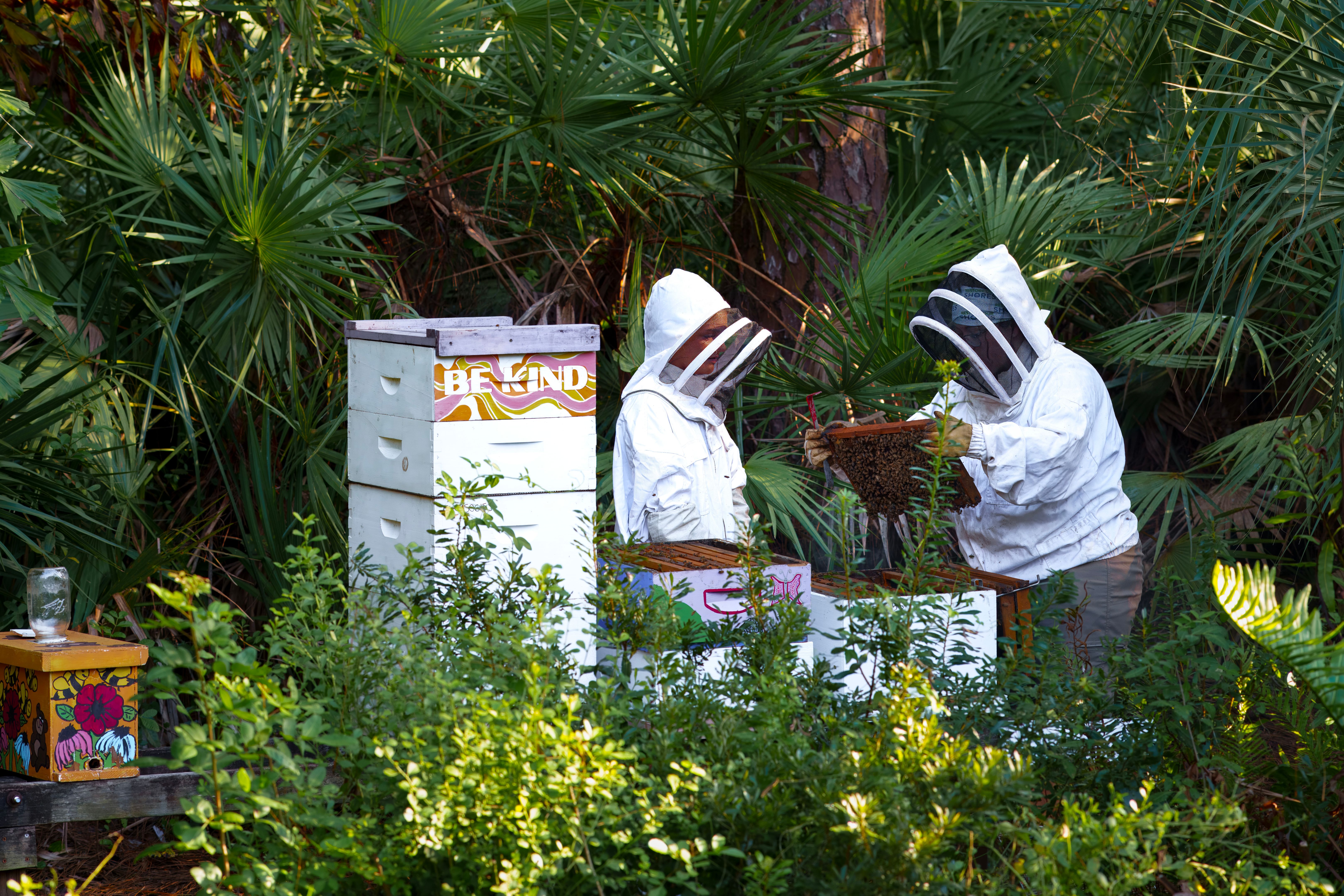 central florida farm