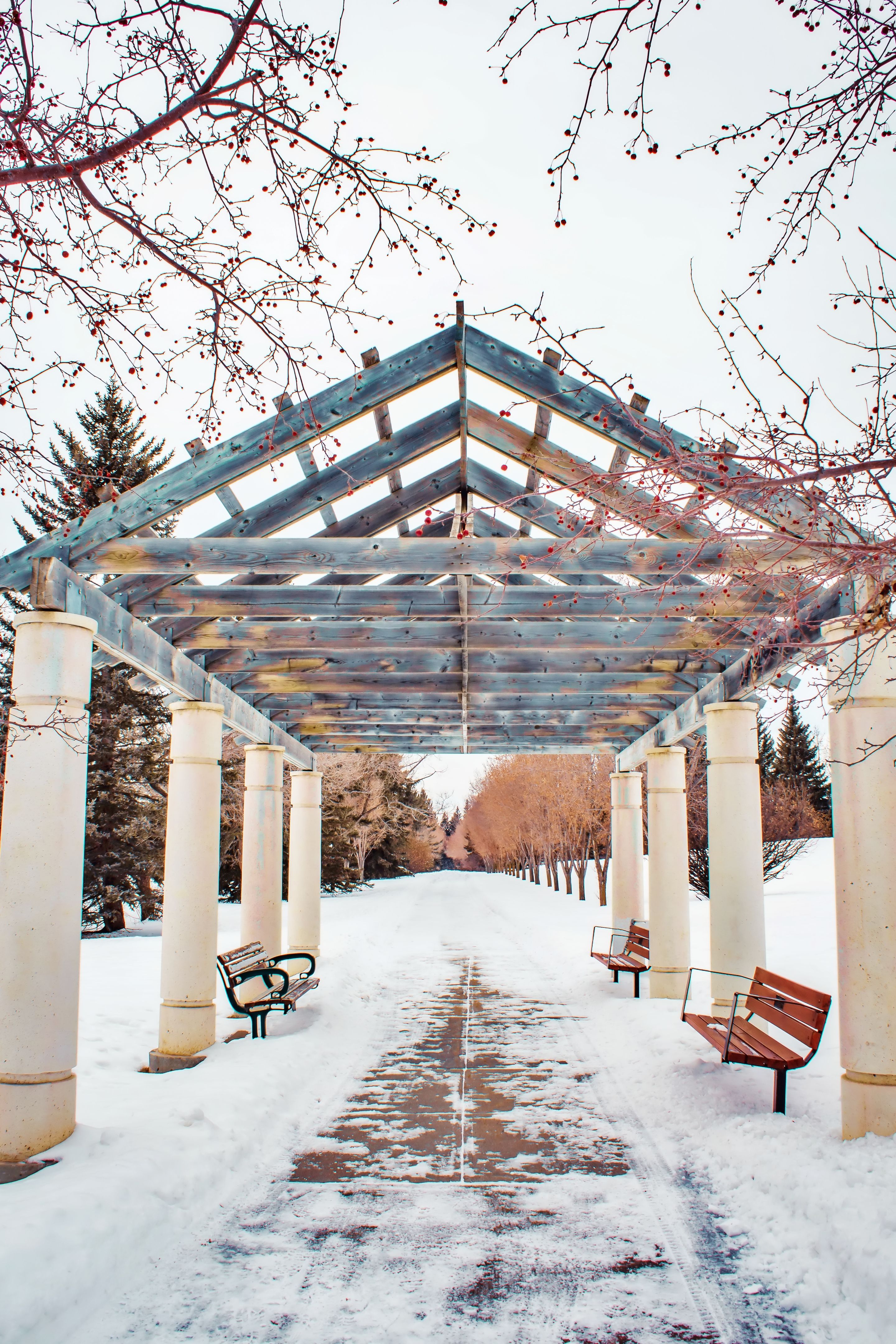 calgary winter garden