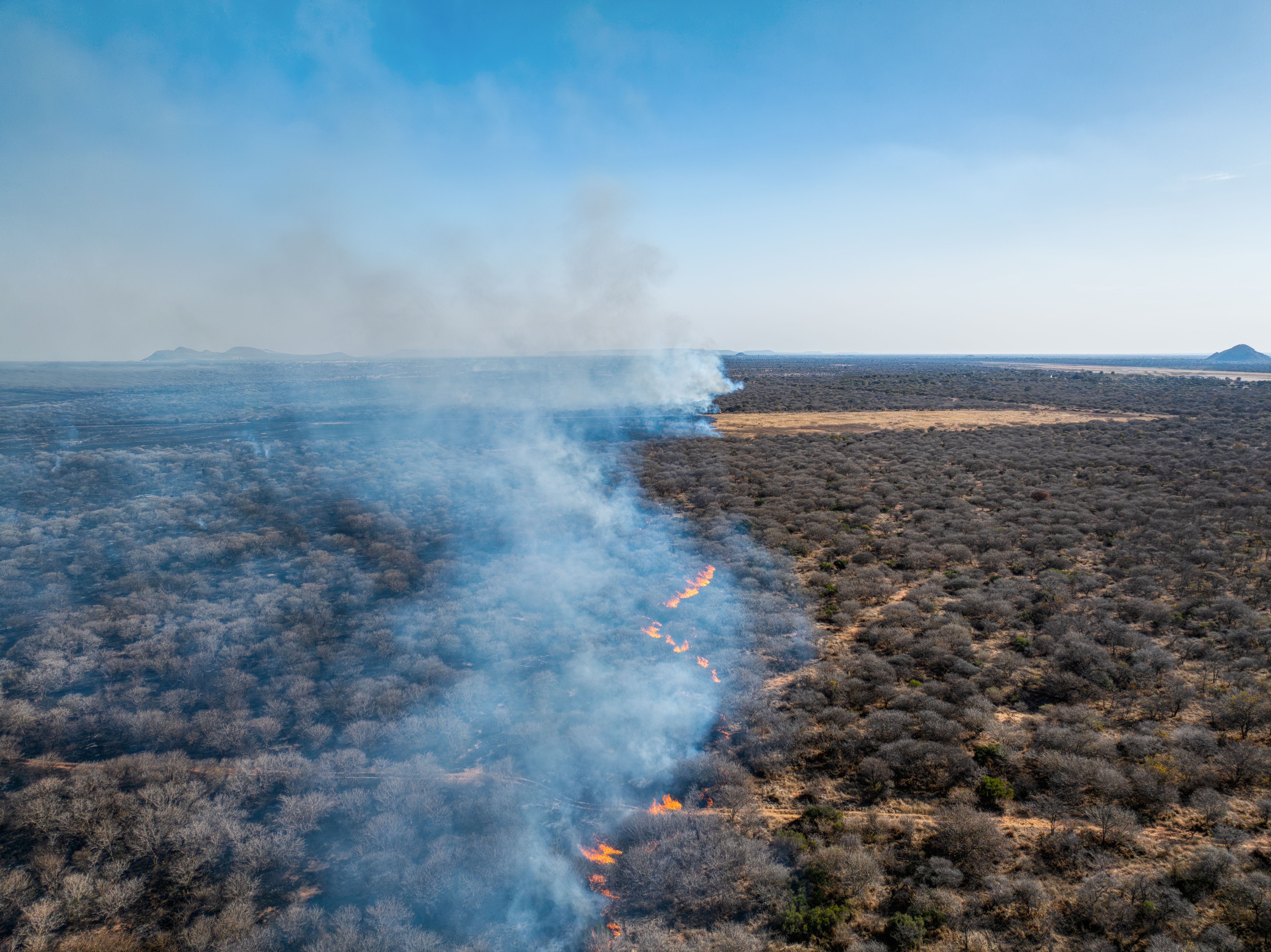 wildlife conservation Cape Town