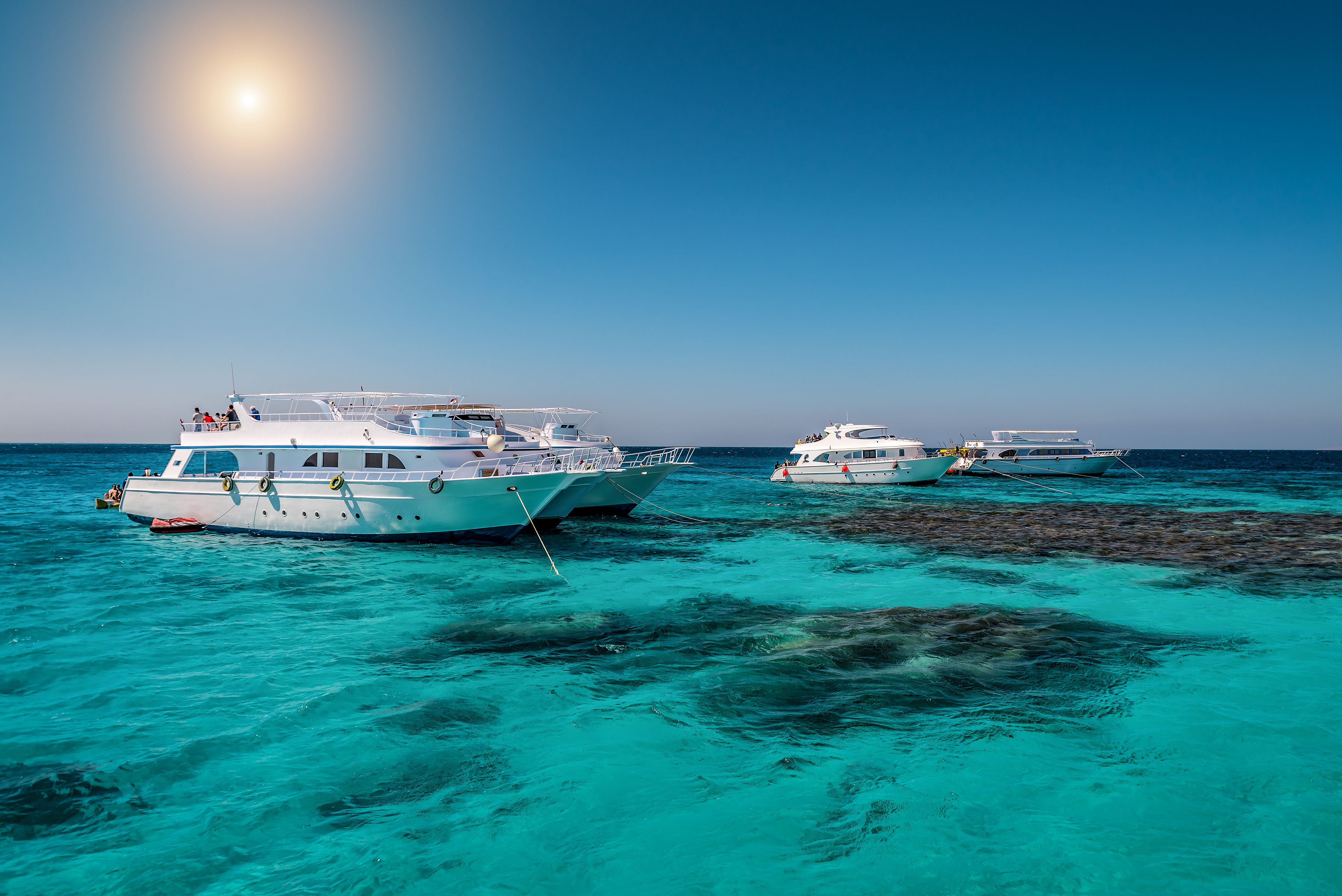 red sea tour boat