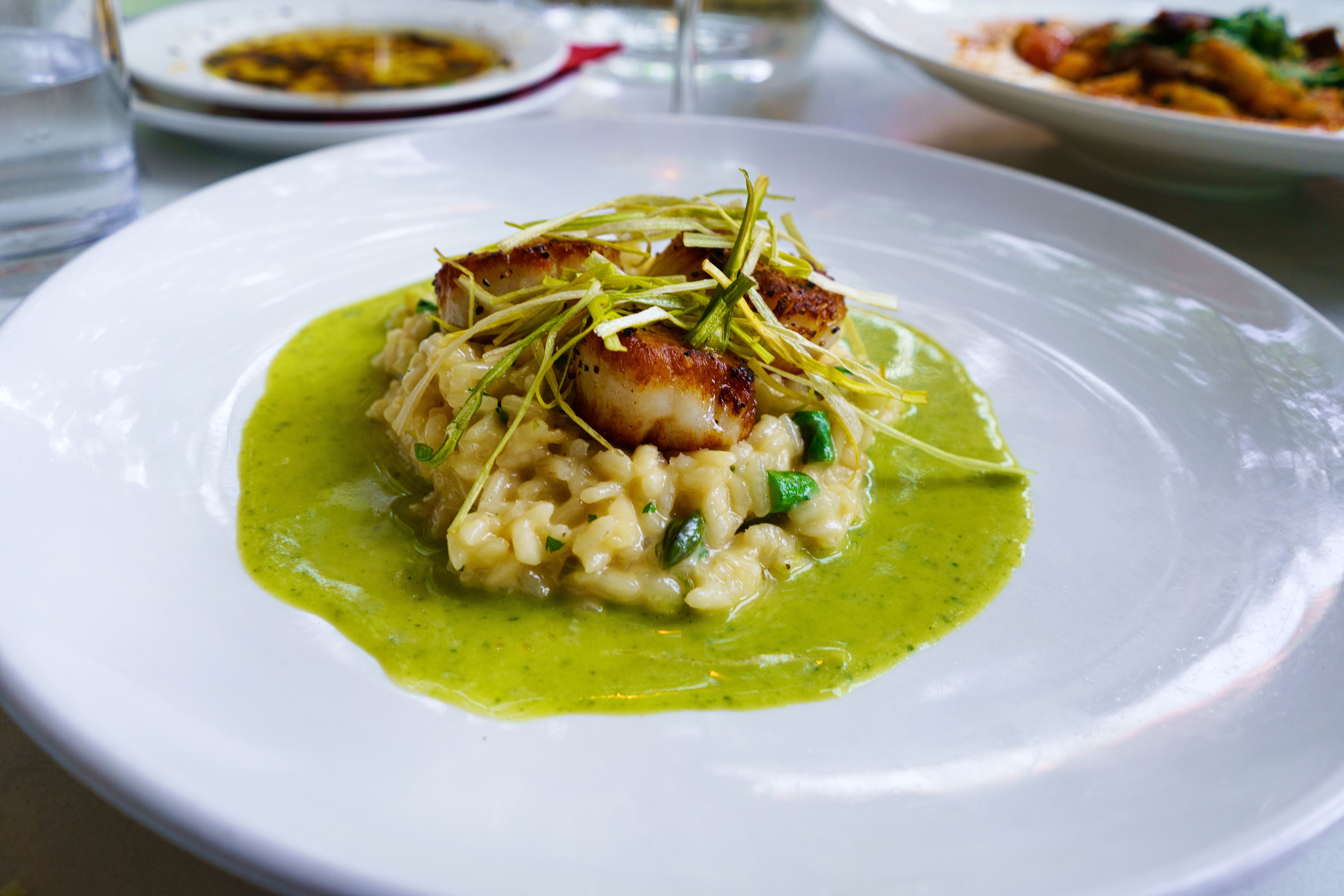 scallops dish