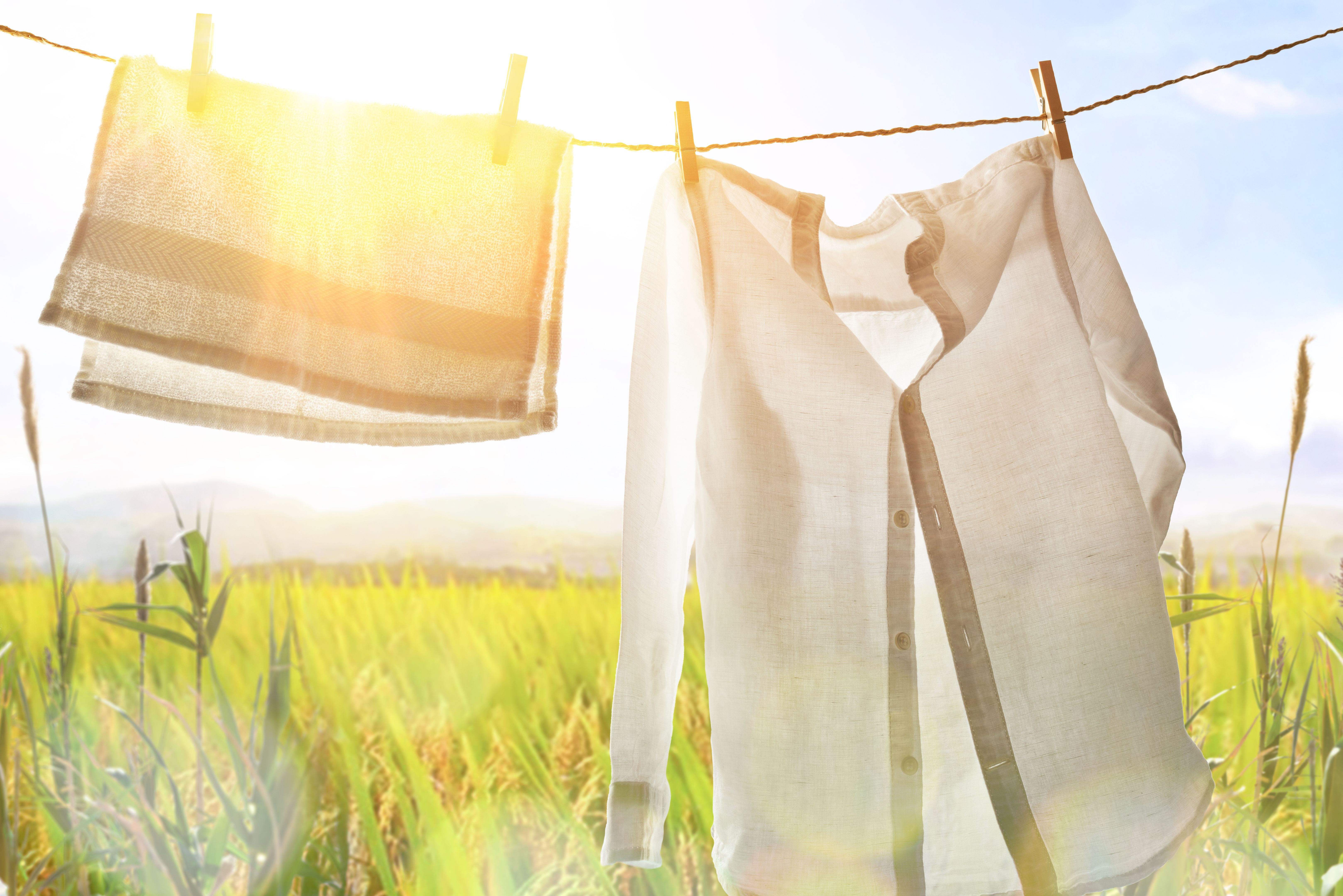 sunny day clothesline