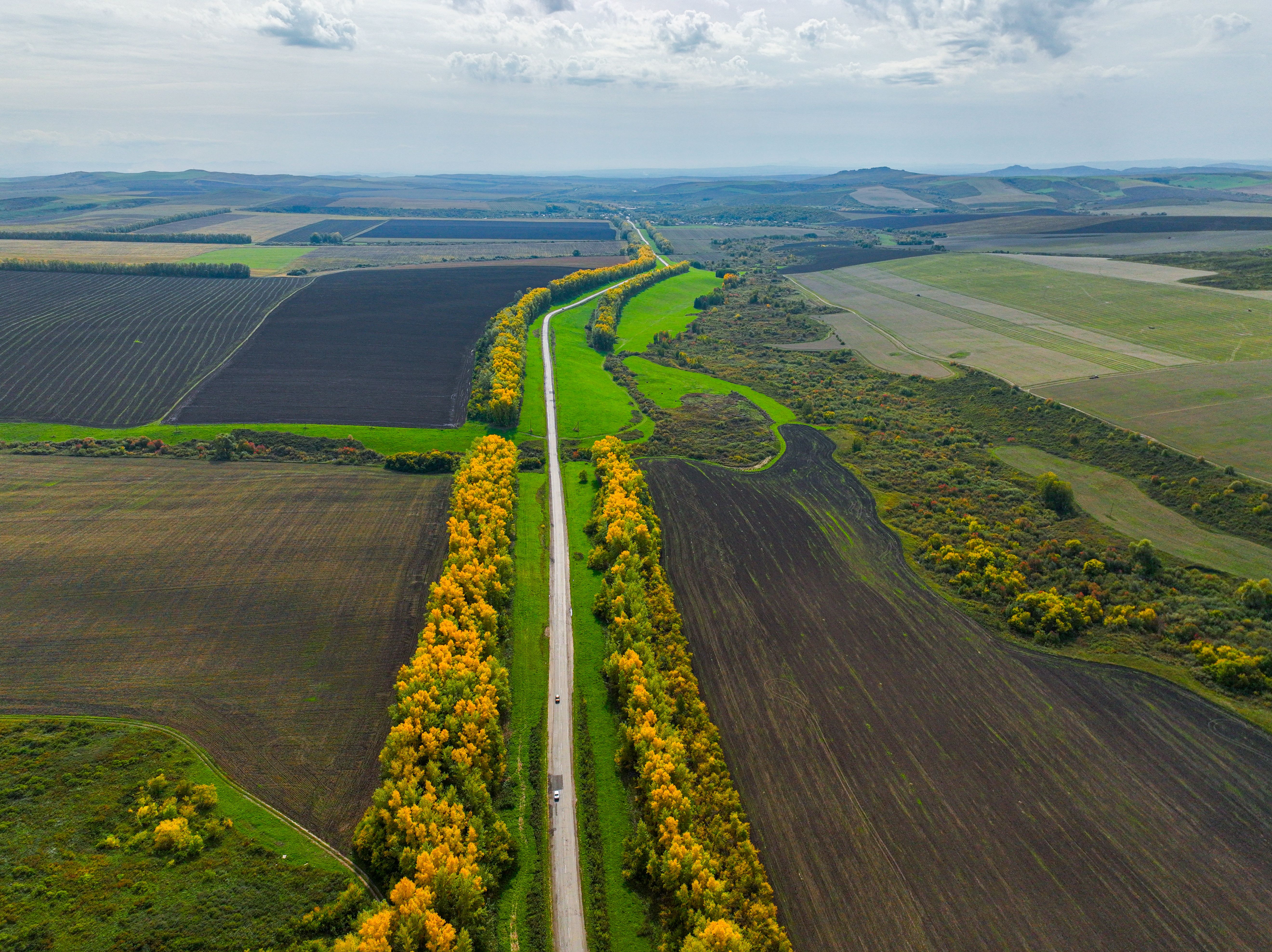golden valley landscape