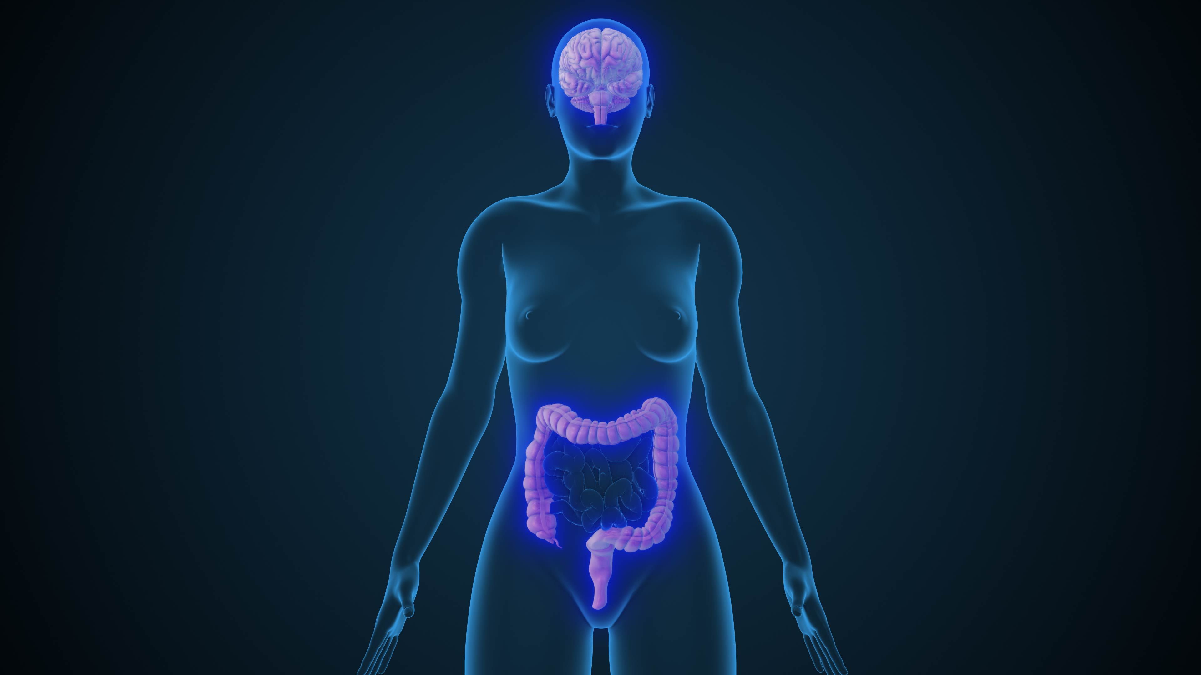 gut brain connection