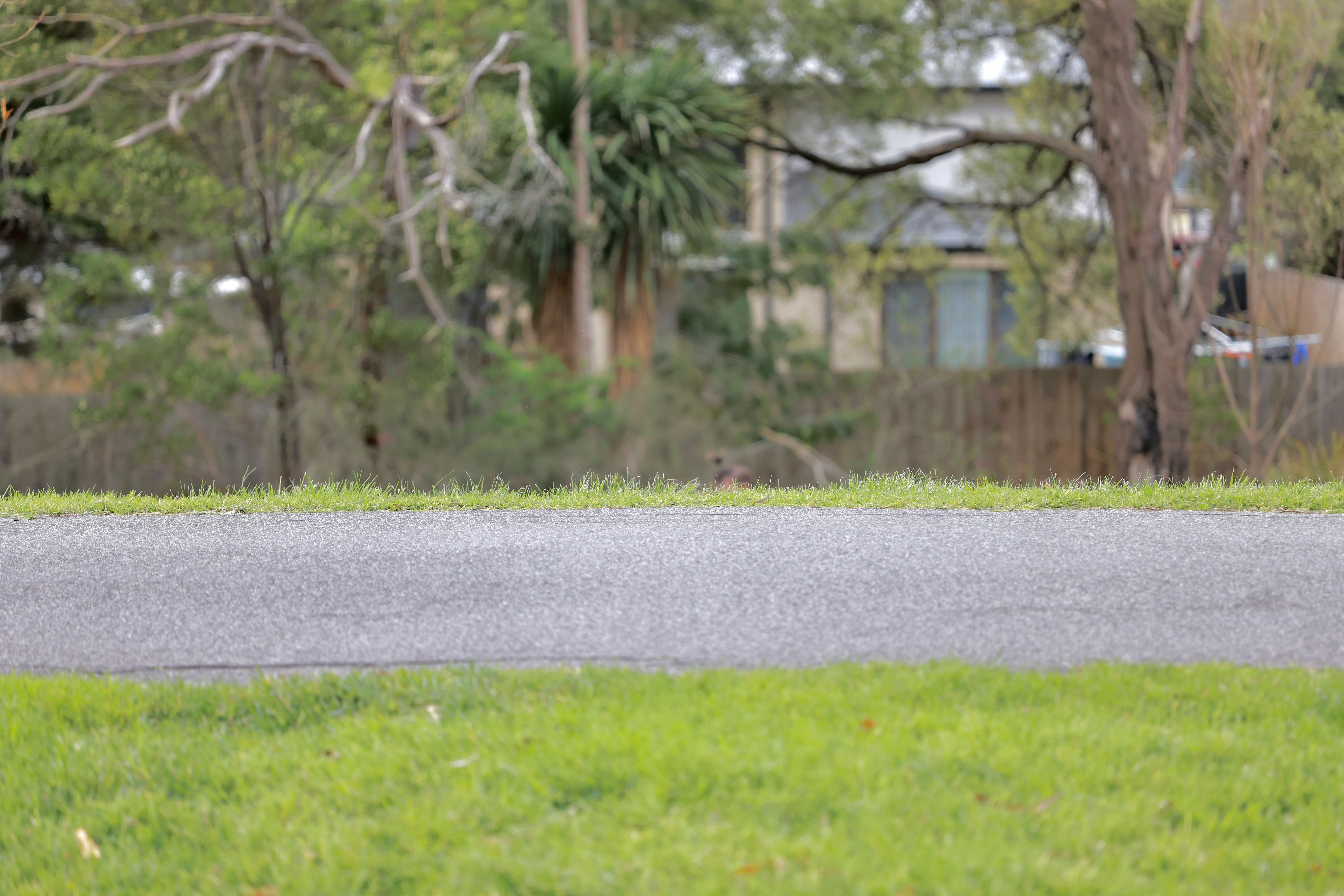 australian suburban park