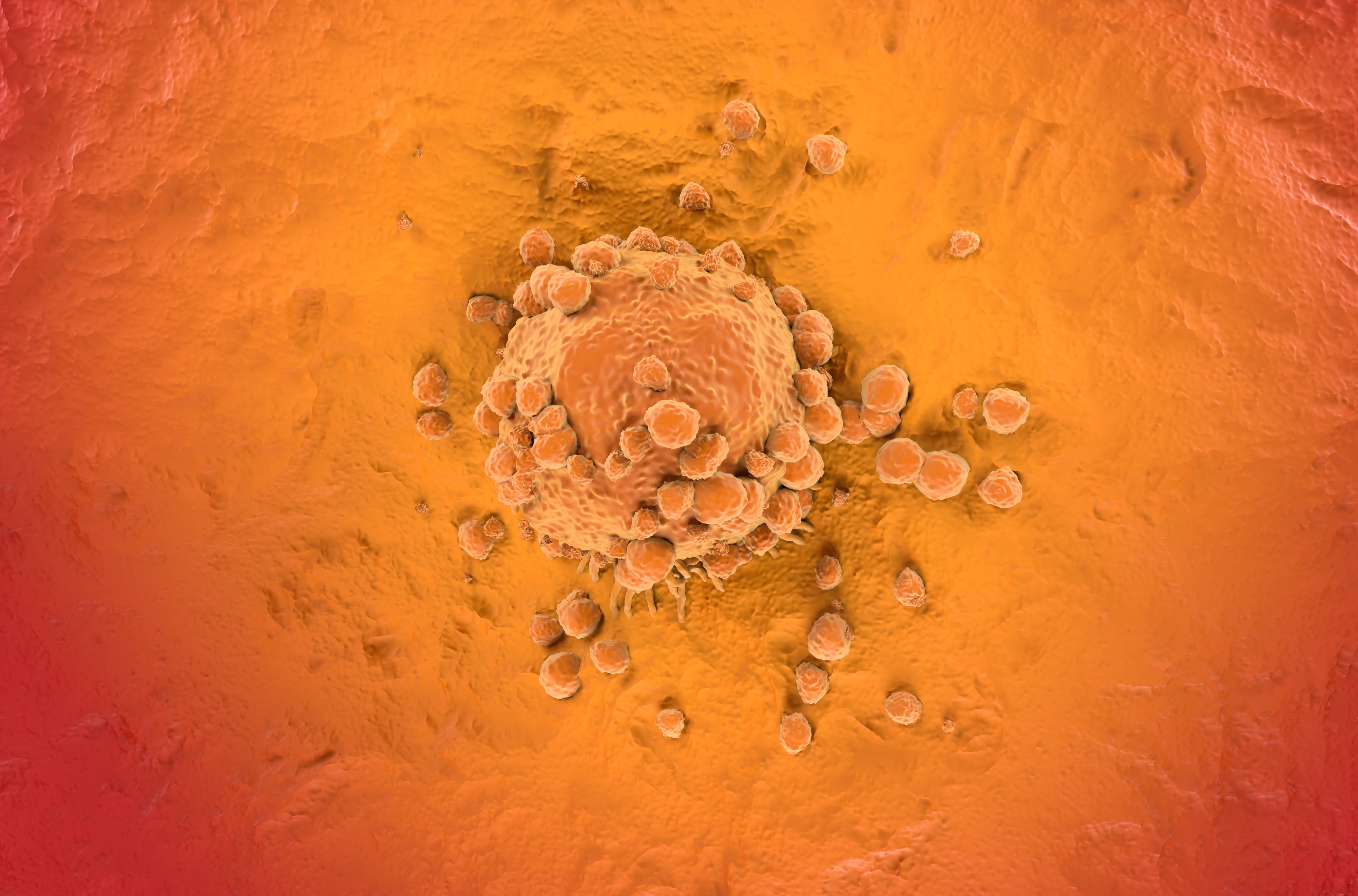 imunoterapia câncer