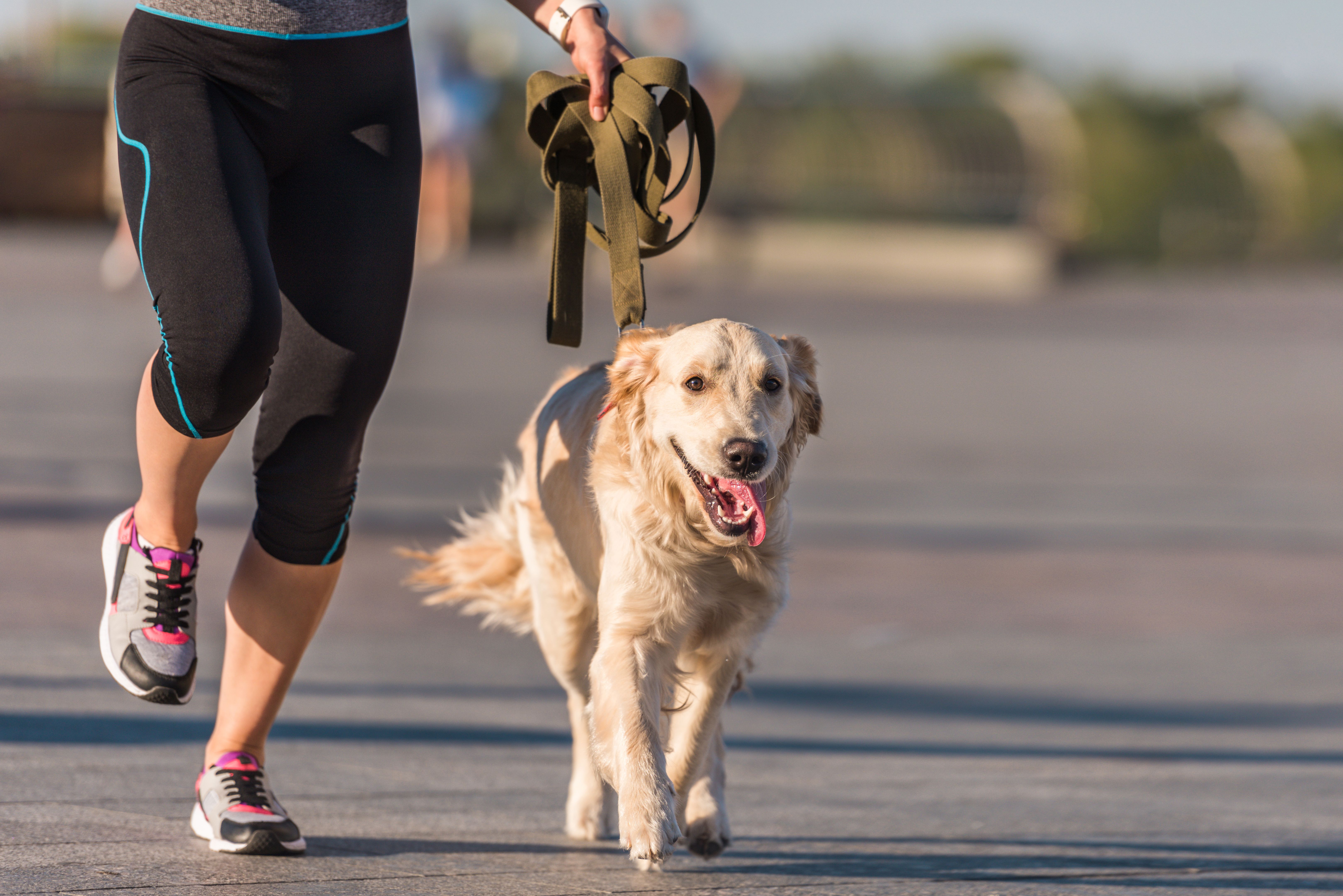 sportswoman jogging with dog