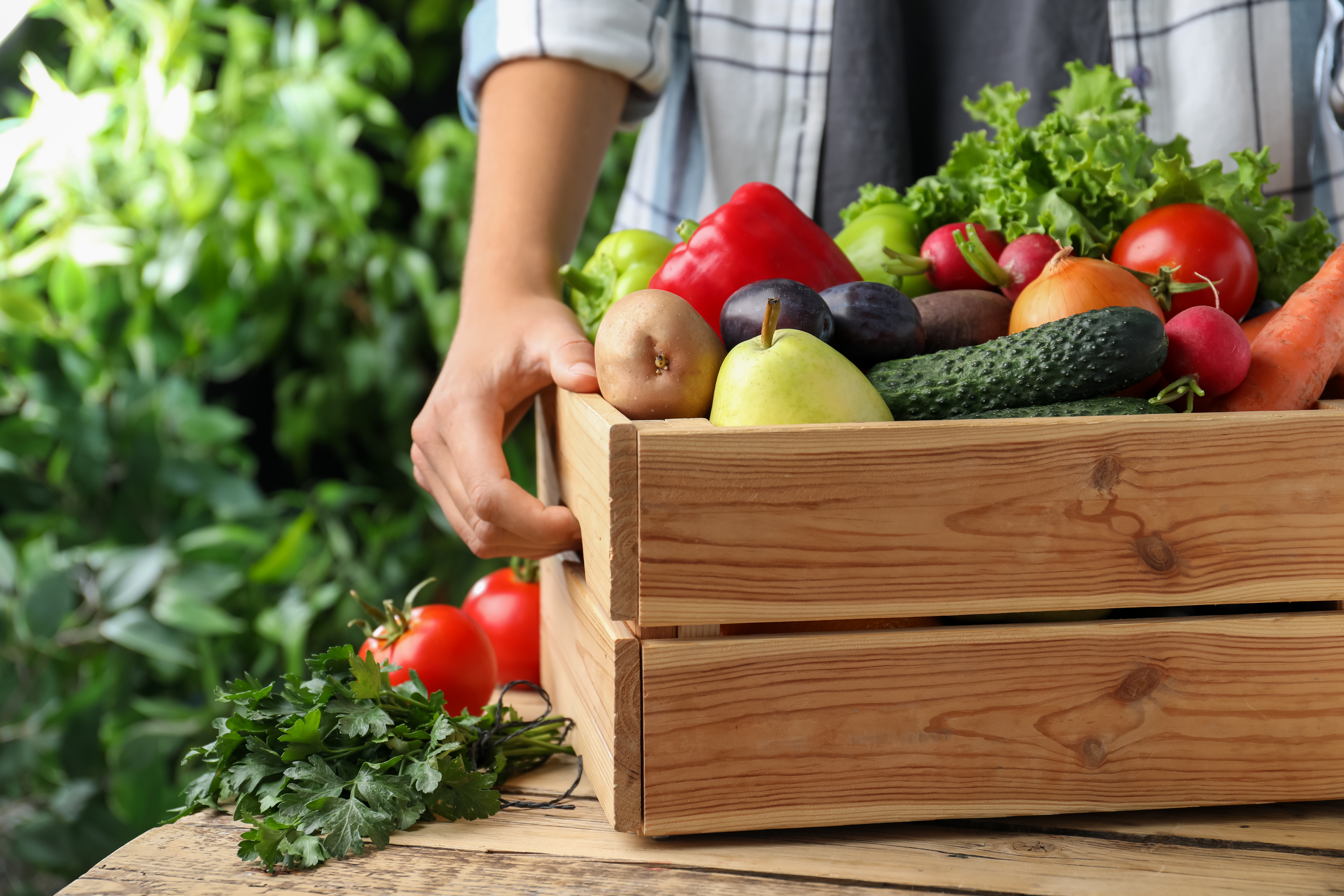 Farmer with crate full of different vegetables and fruits outdoors, closeup. Harvesting time Farmer with crate full of different vegetables and fruits outdoors, closeup. Harvesting time