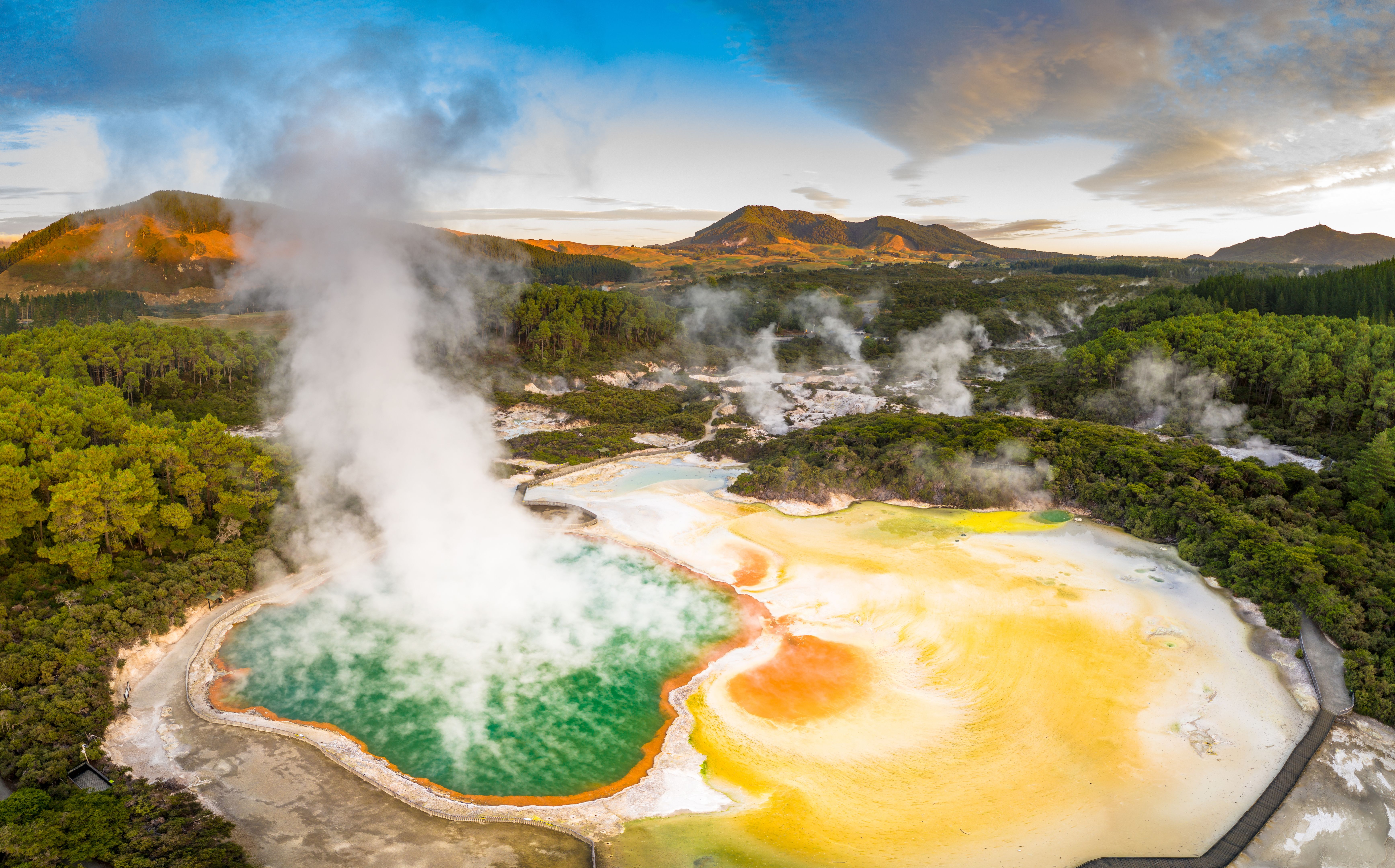 rotorua geyser