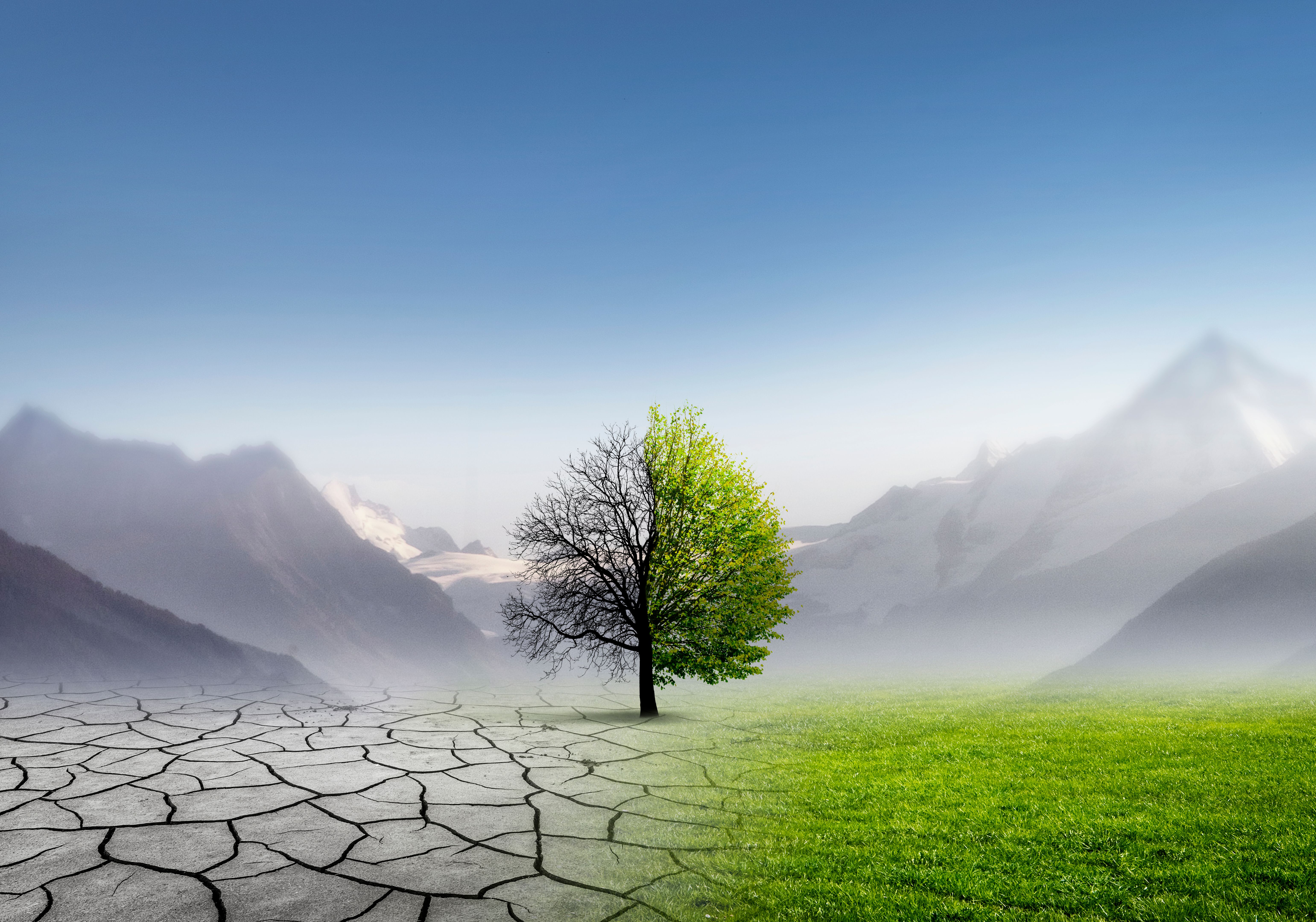climate impact on materials