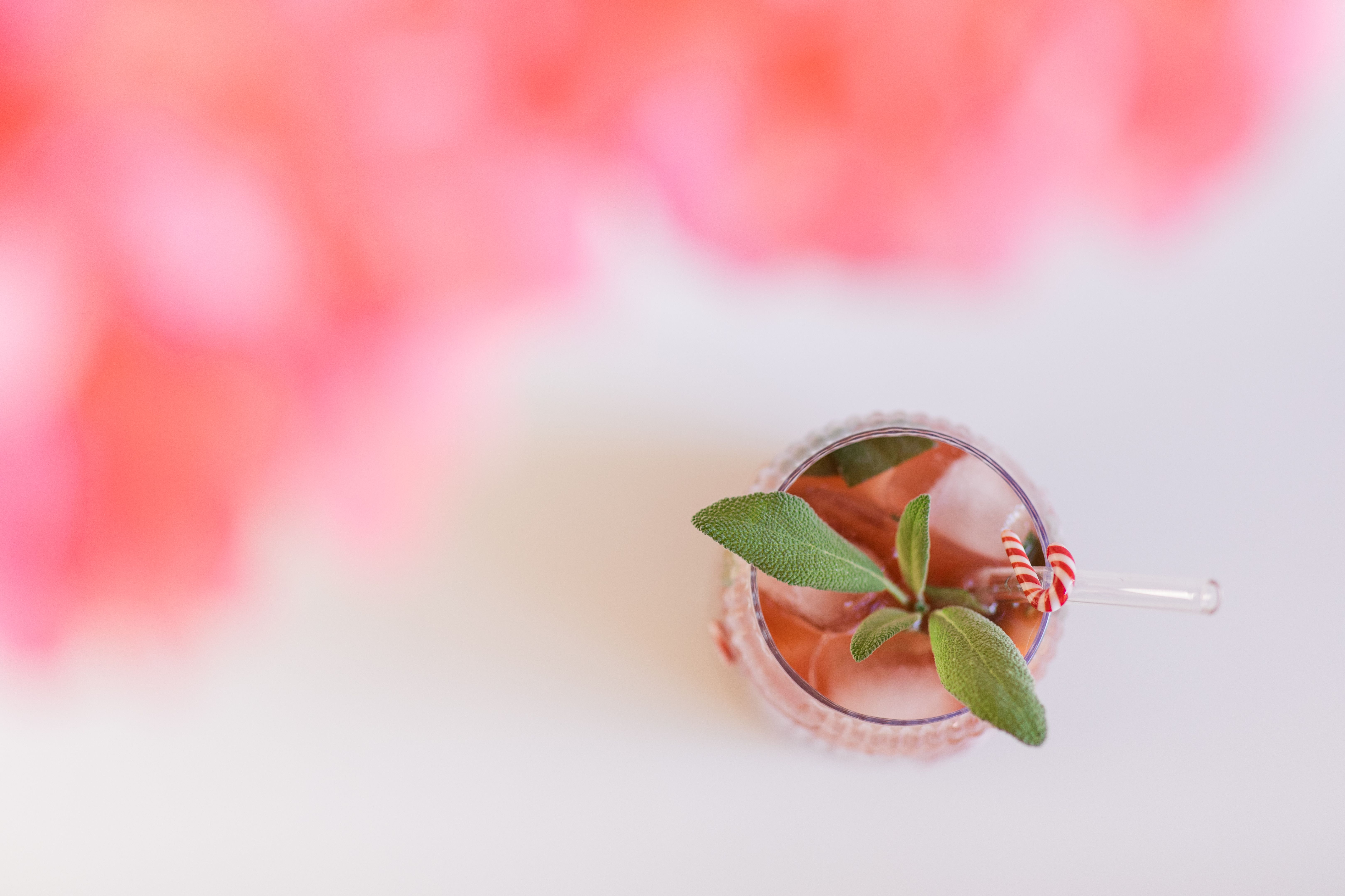 florida summer drinks