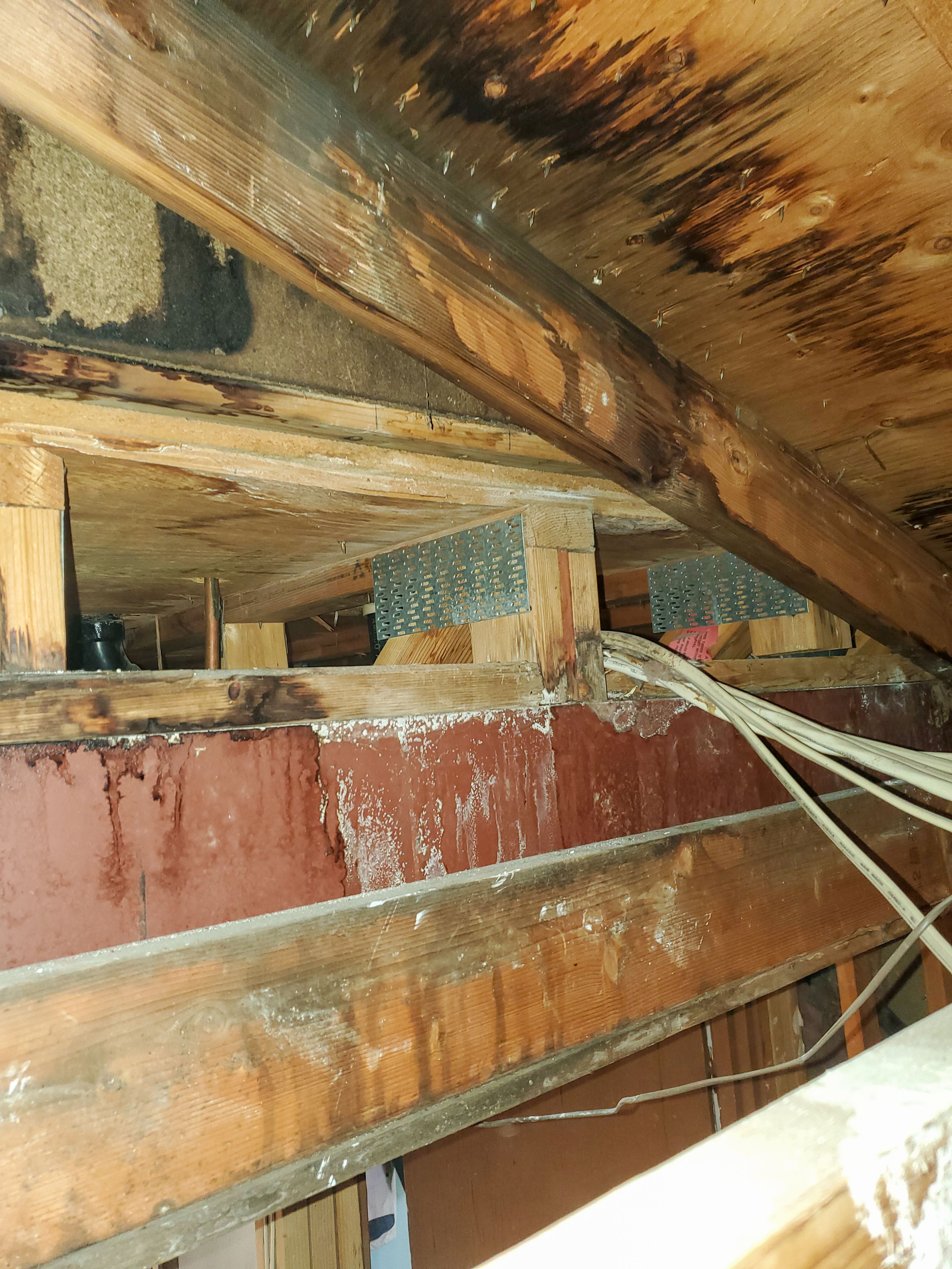 attic water damage