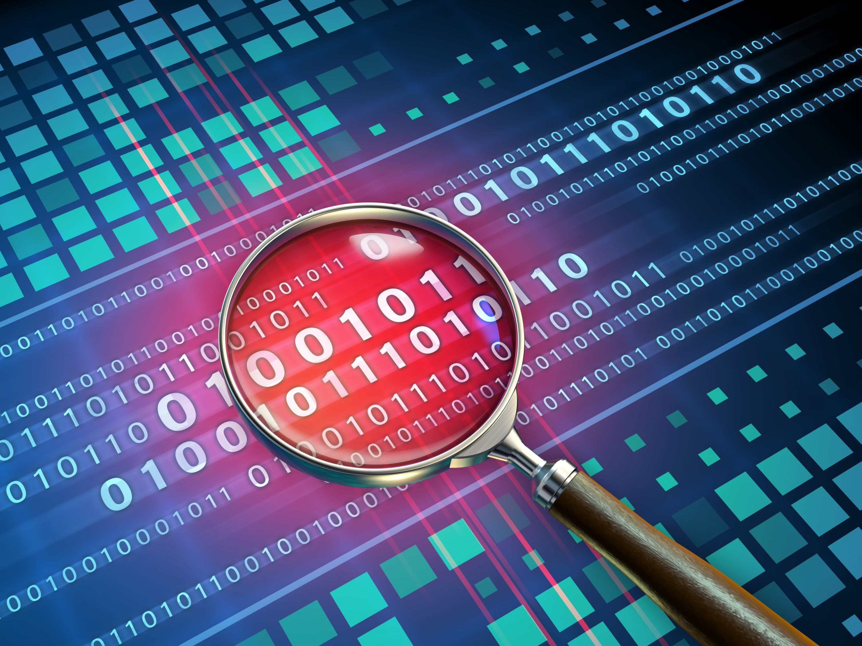 vulnerability assessment