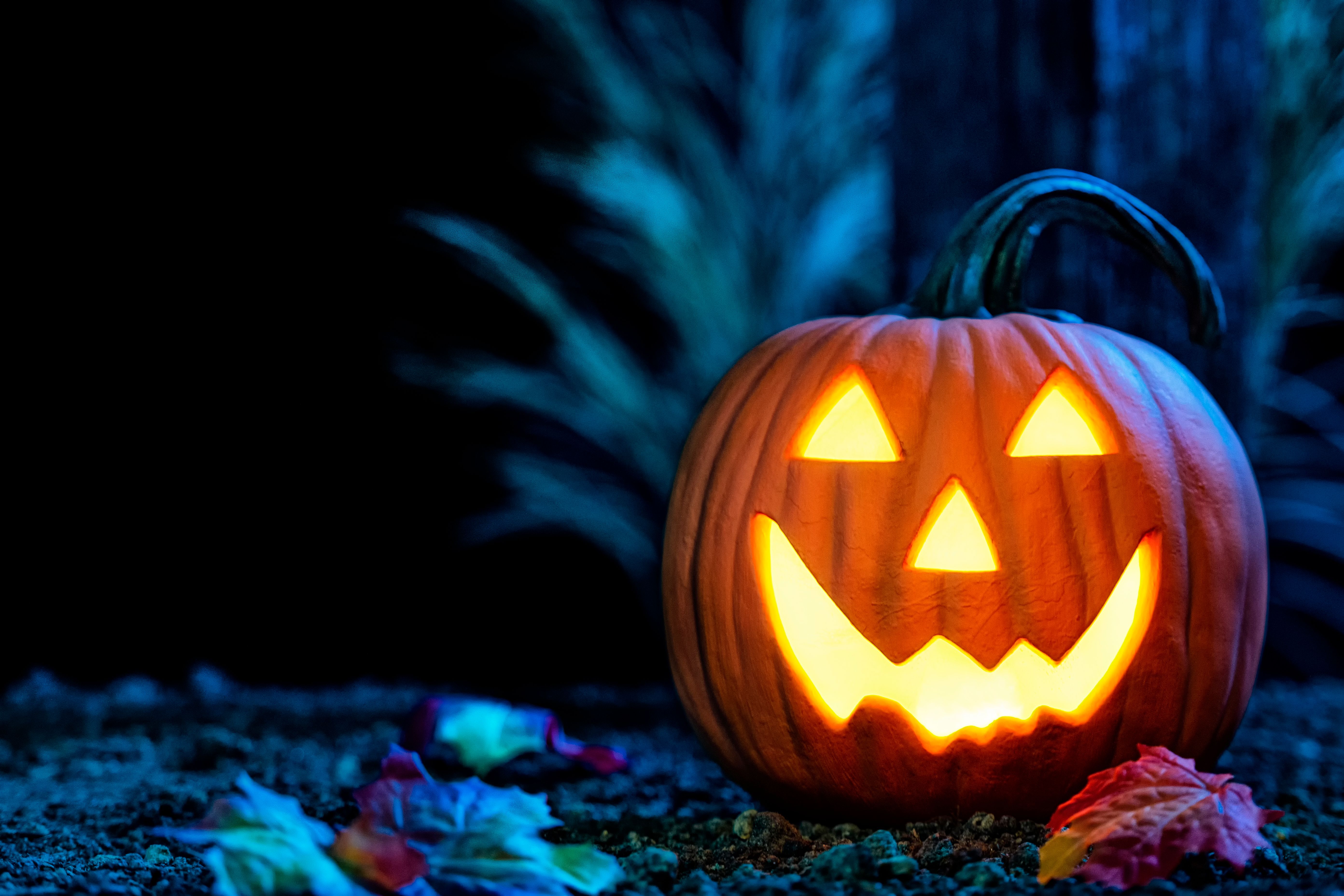 pumpkin carving