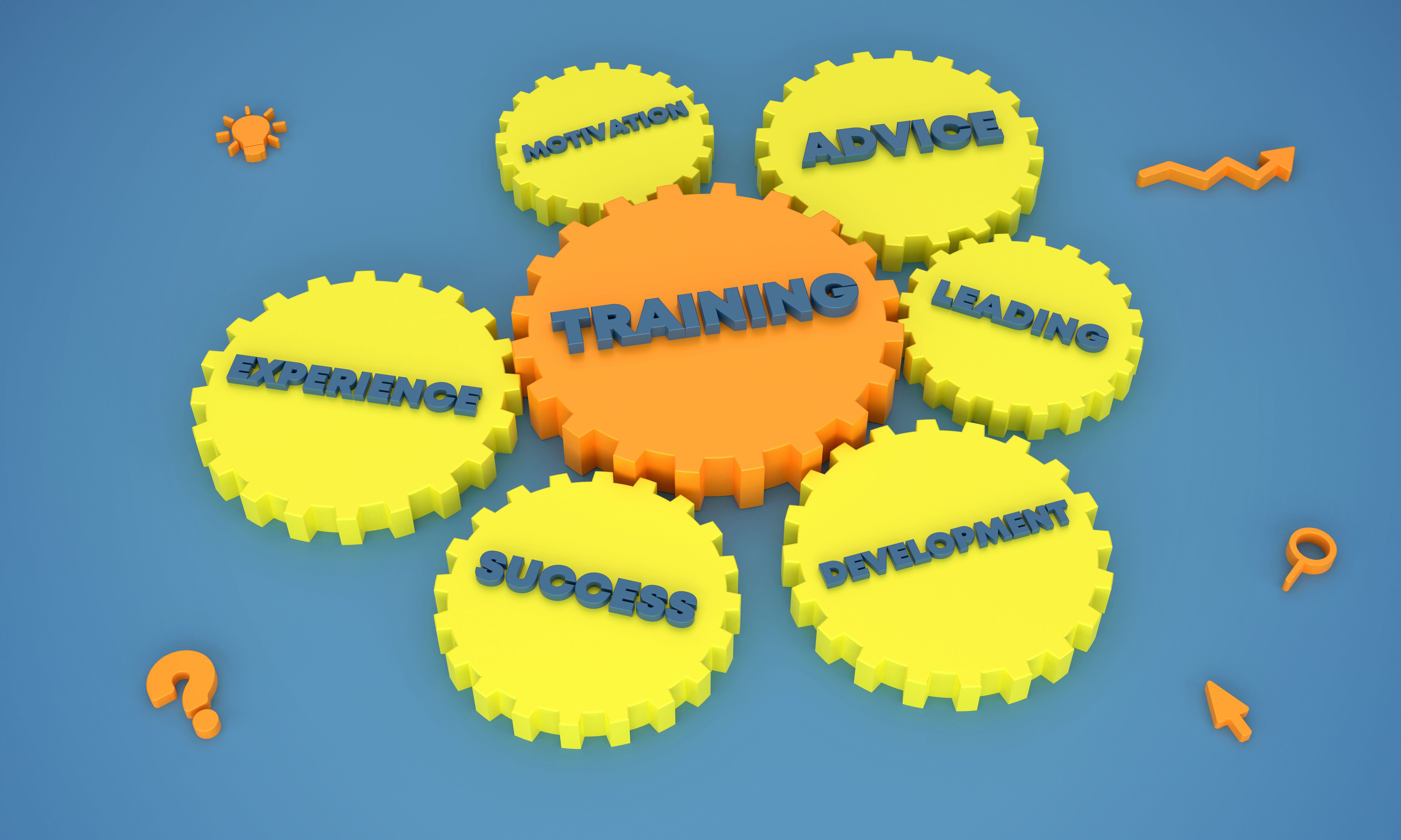 Training and teamwork concept