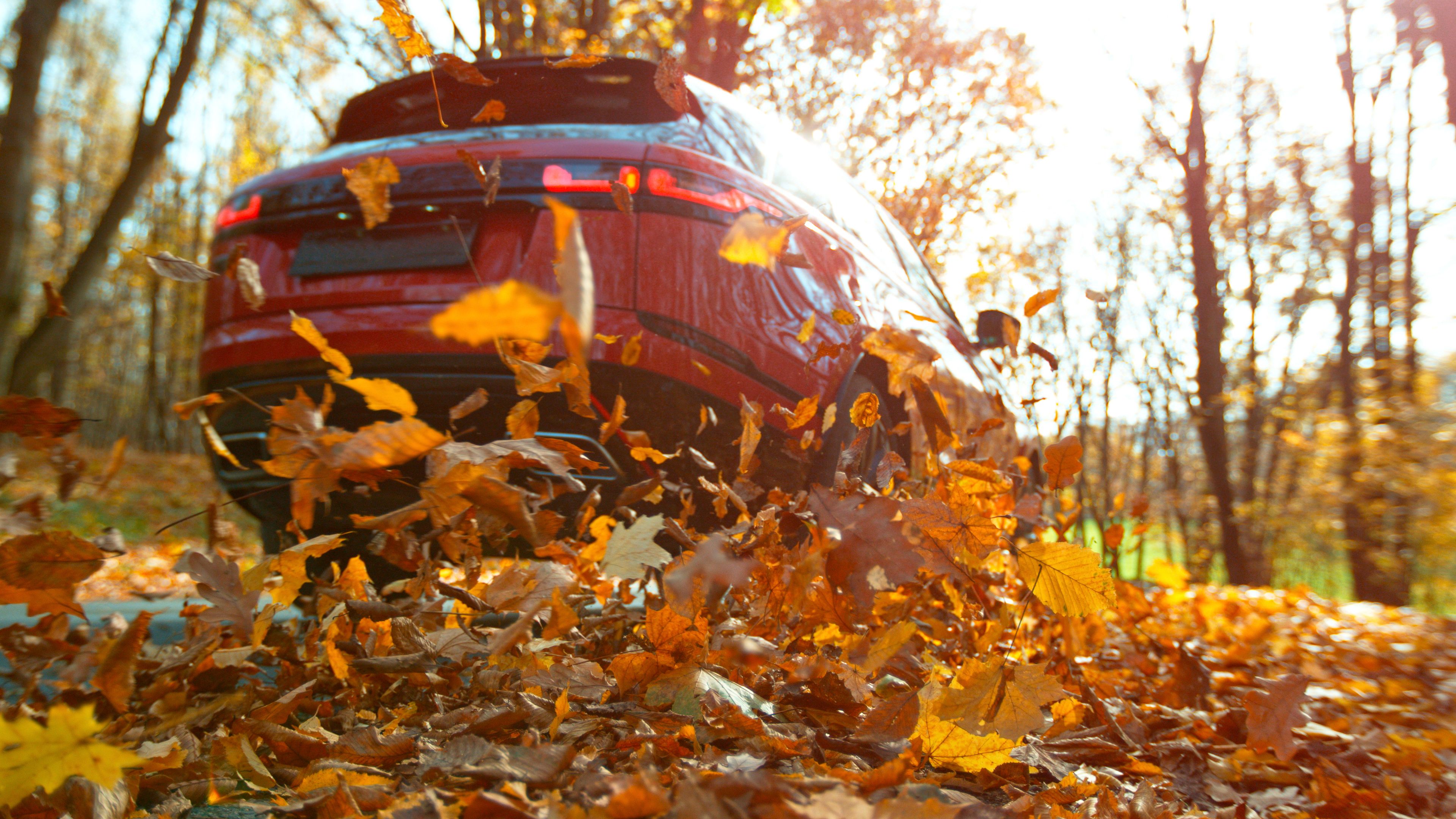 autumn car wrap