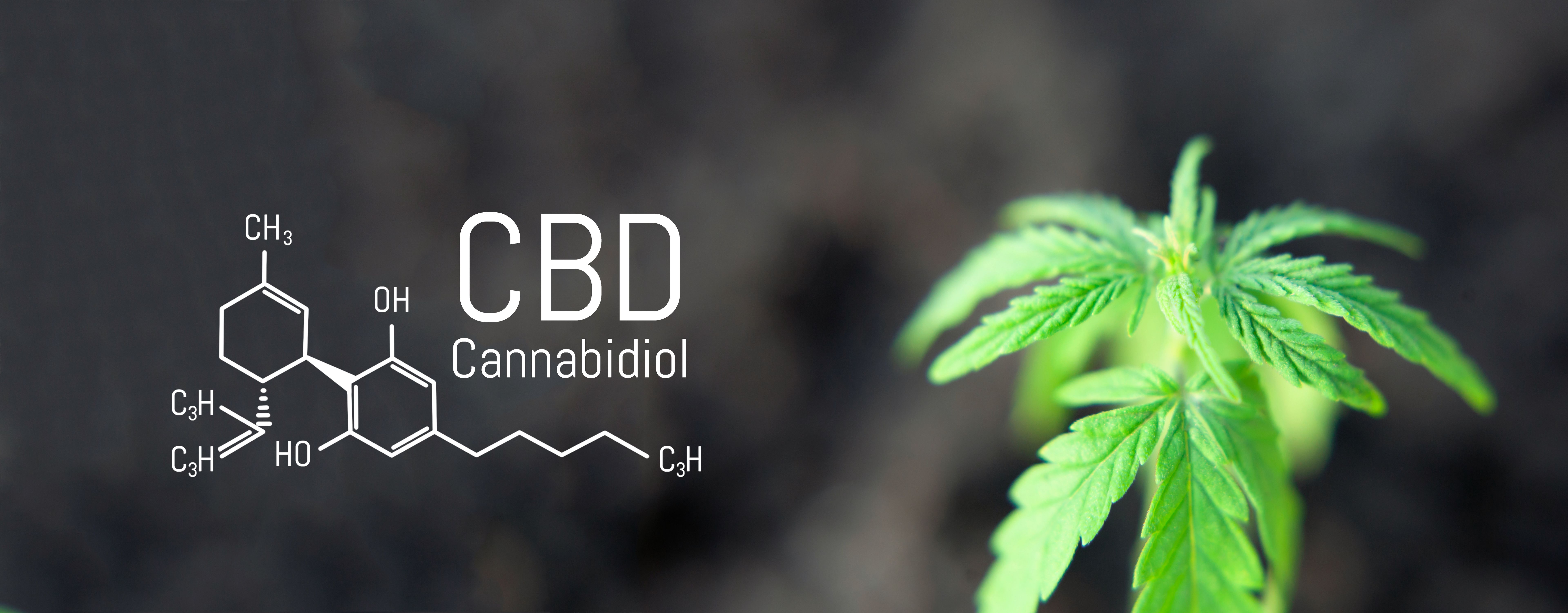 quality cbd products
