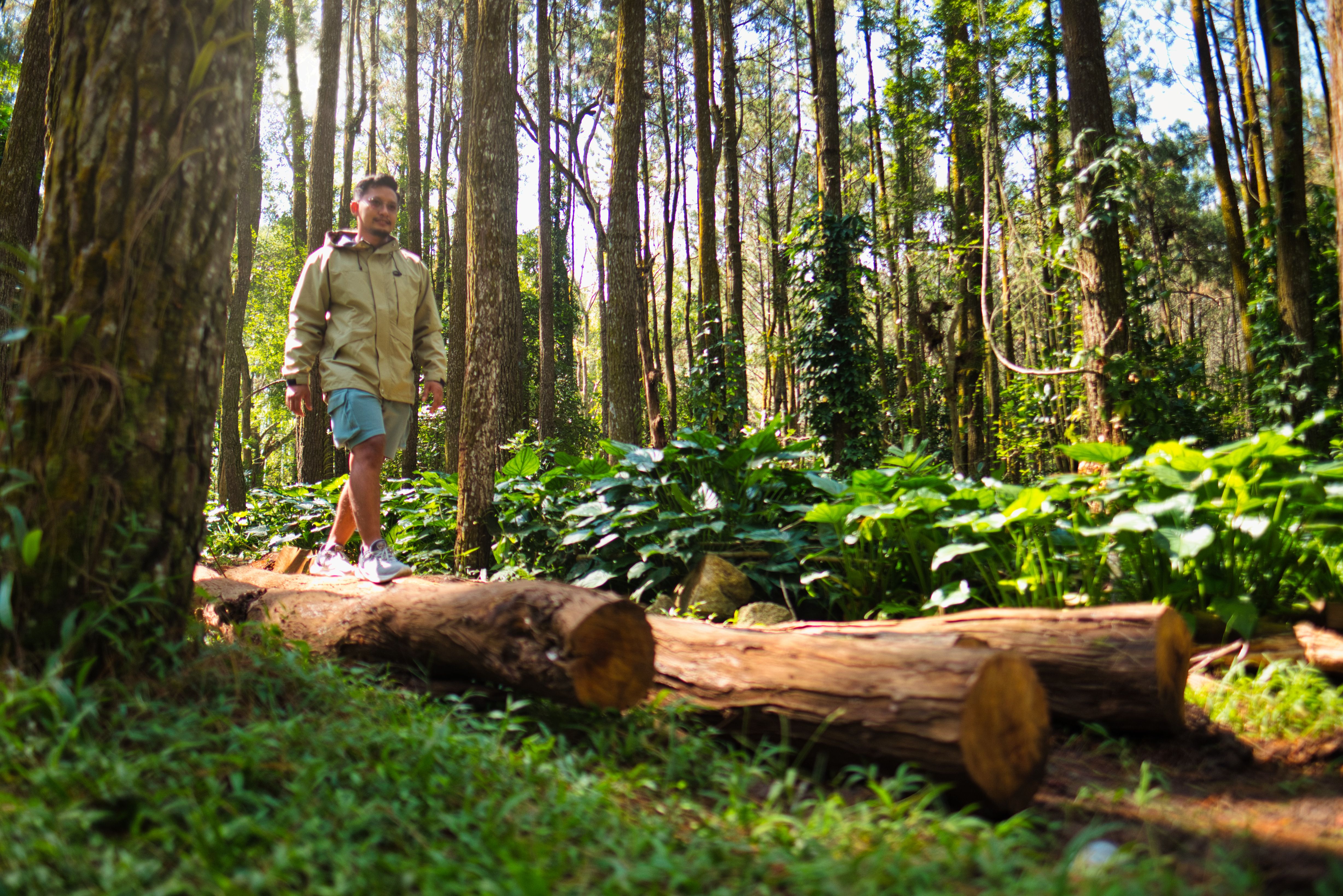 nature walk