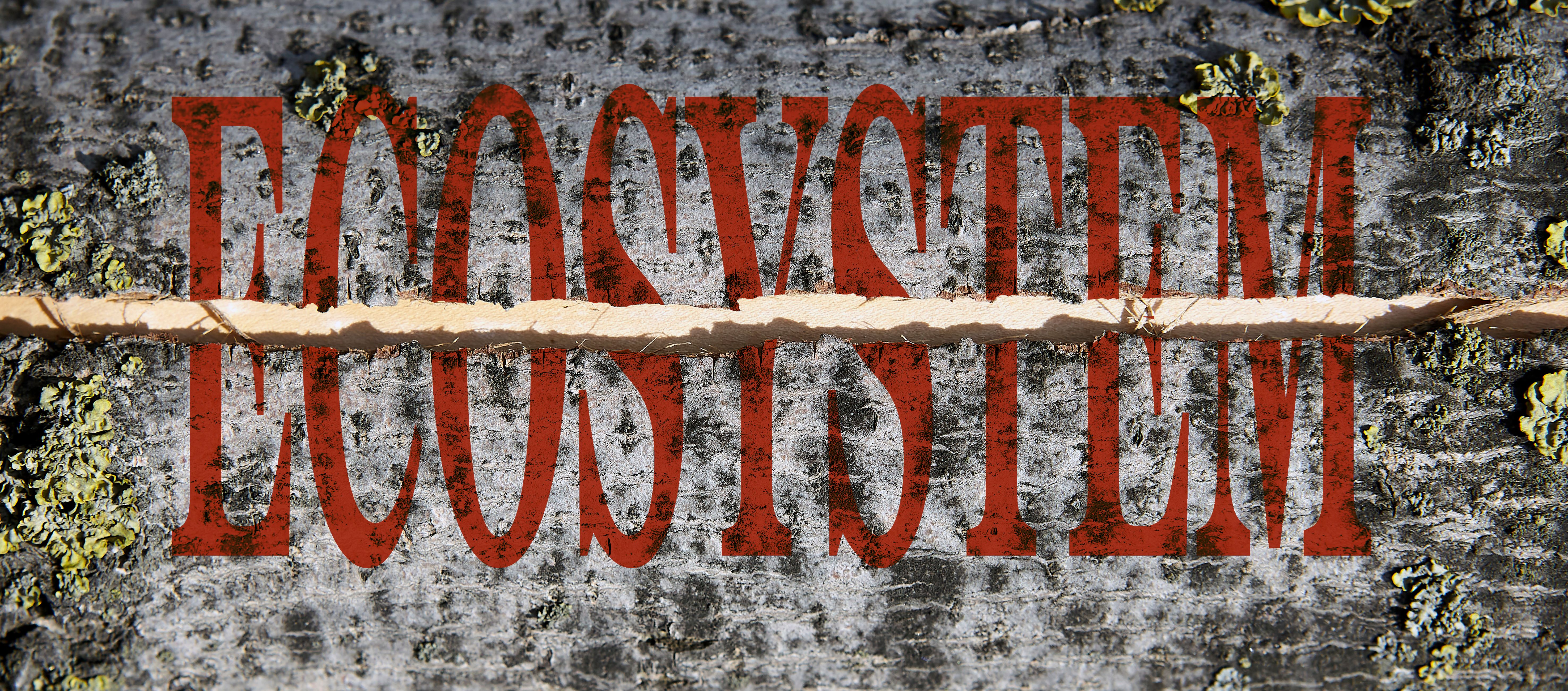 proveedor logístico