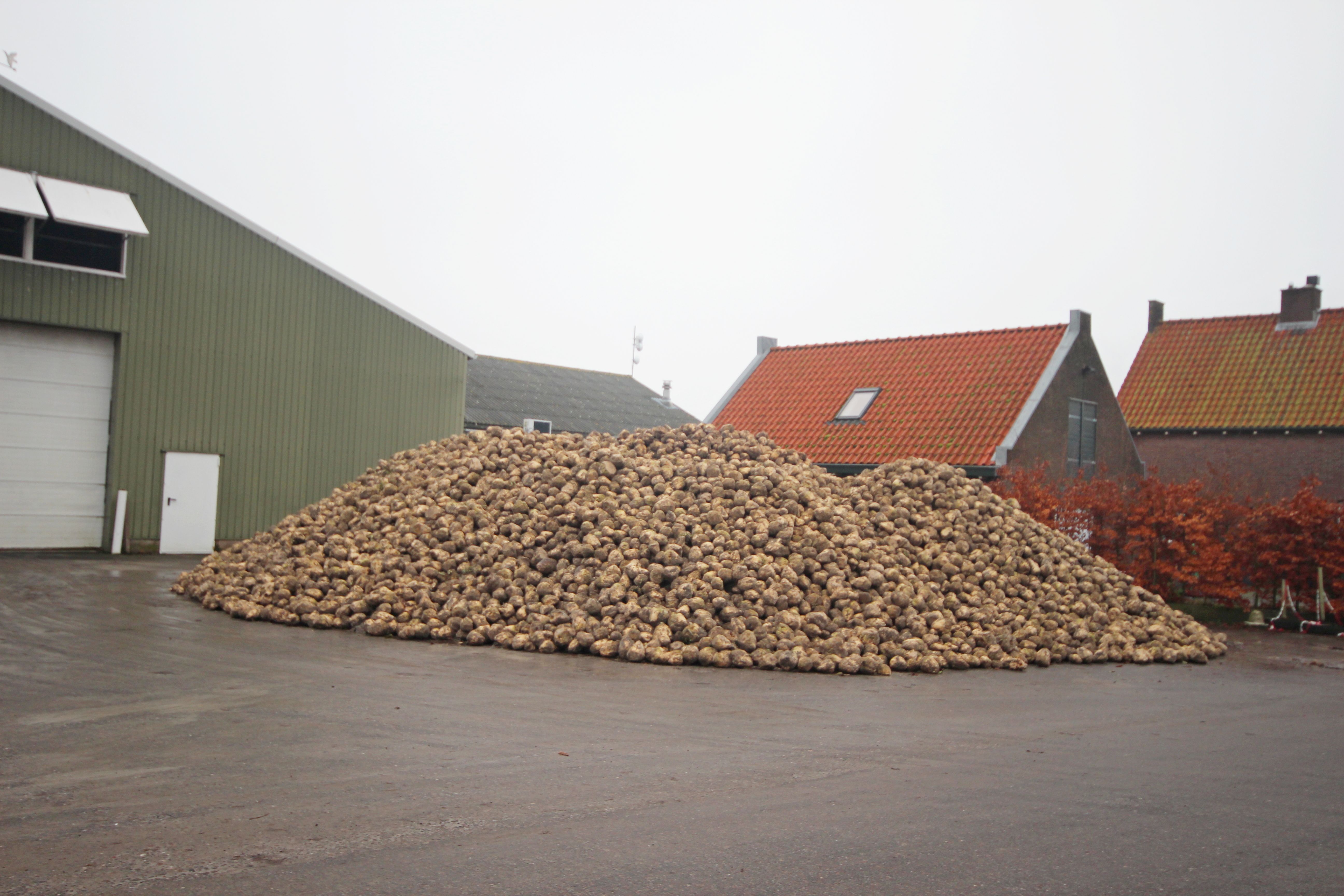 lokale productie