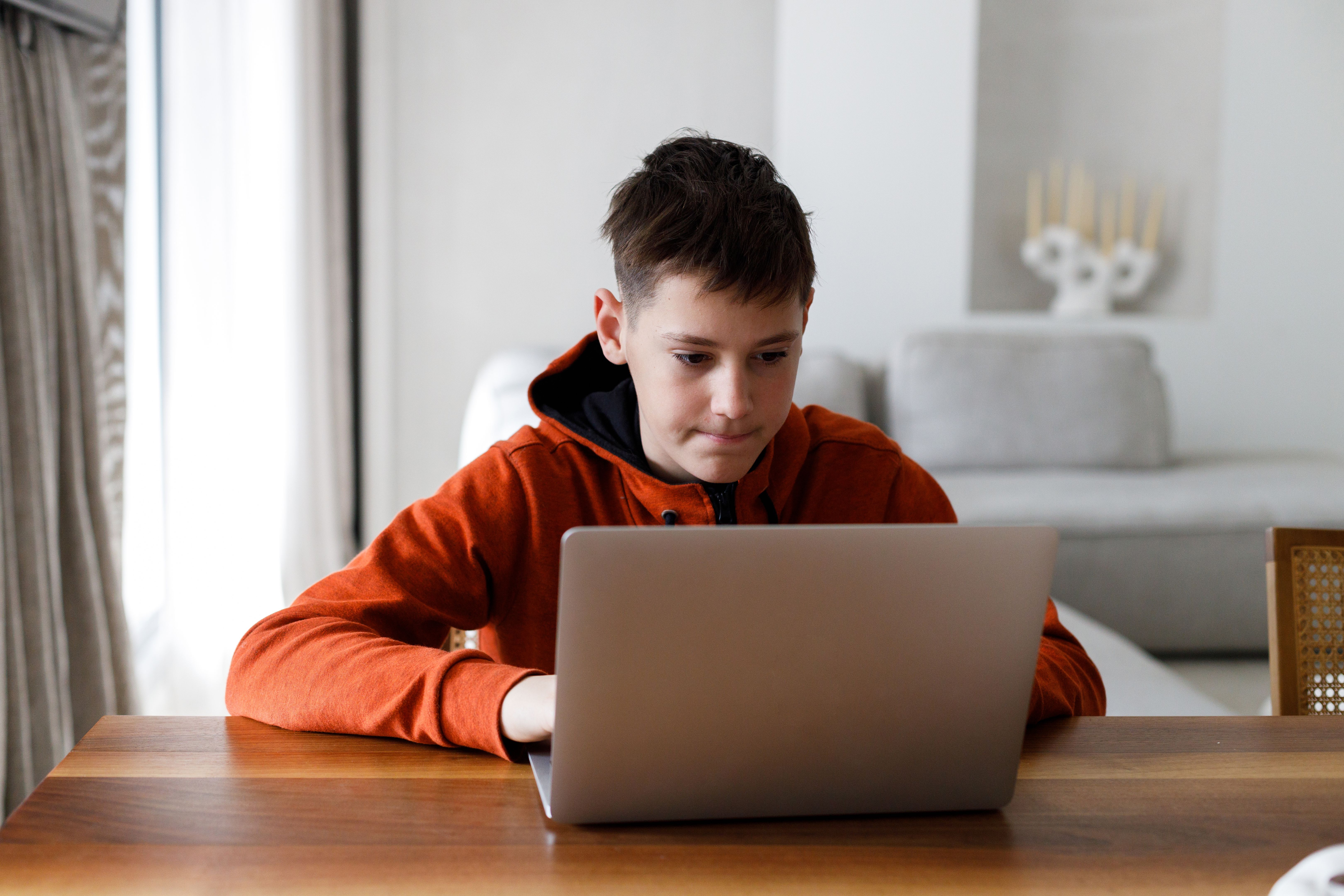 child learning computer