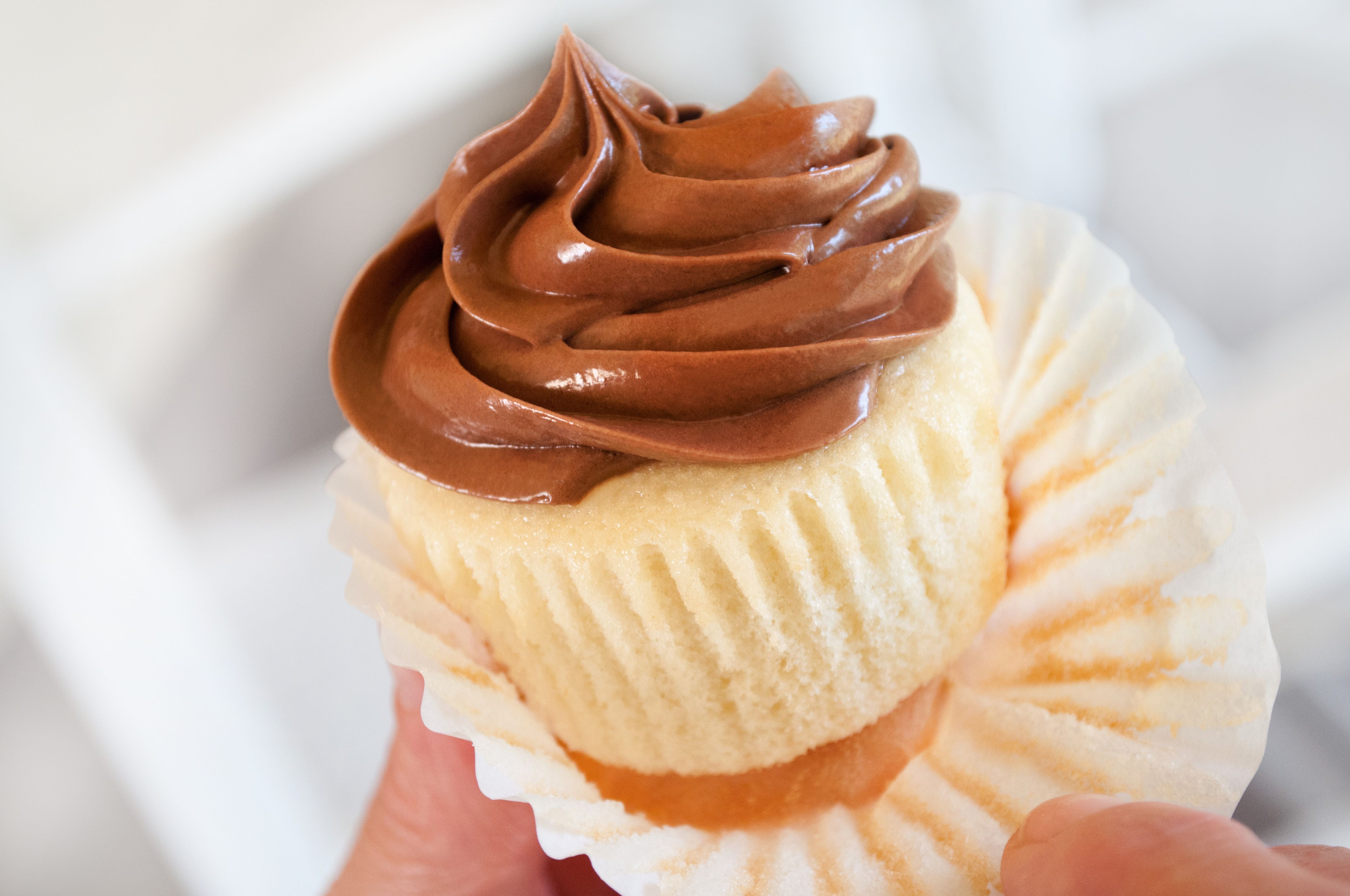 chocolate frosting