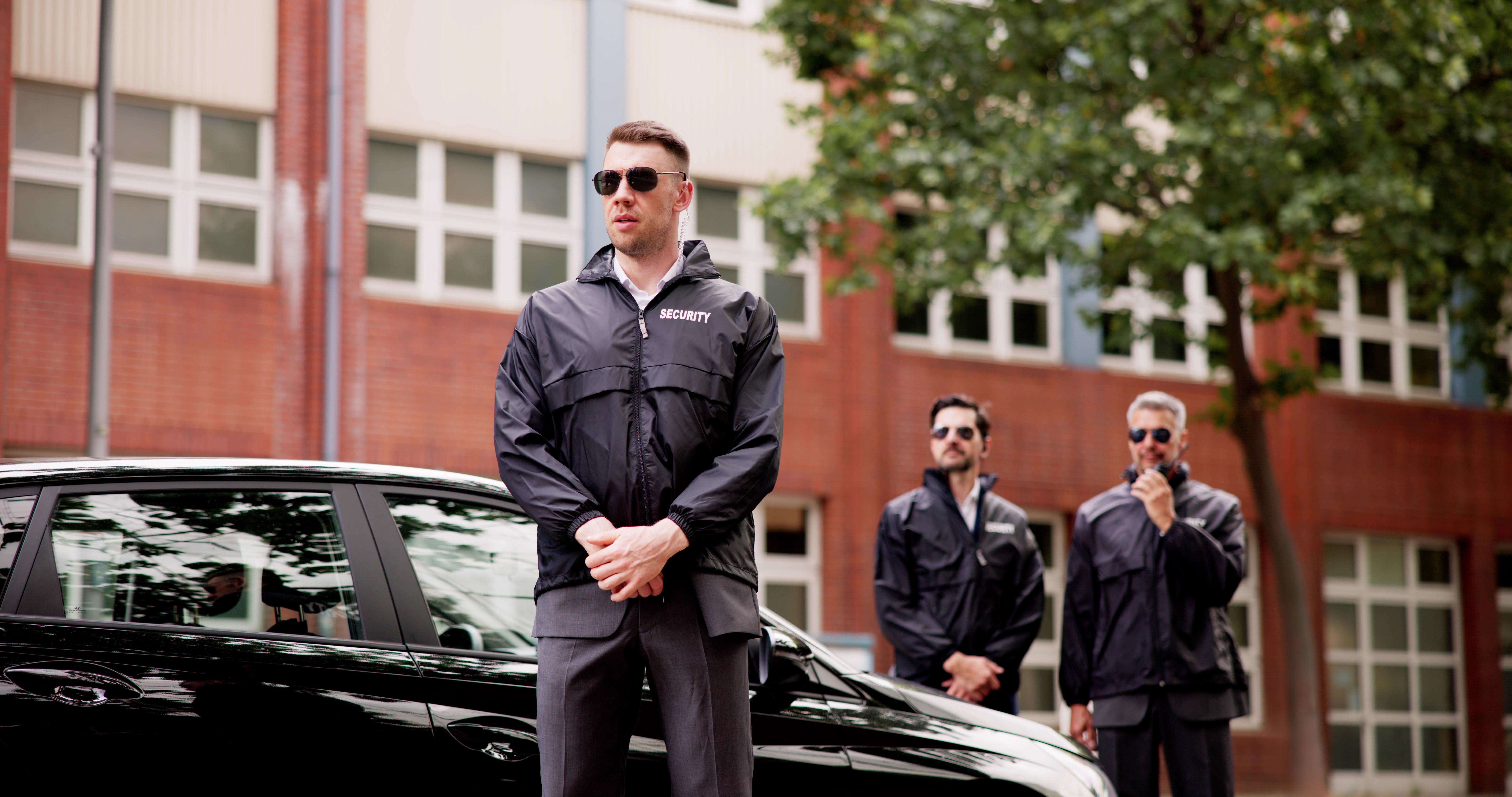 vip protection
