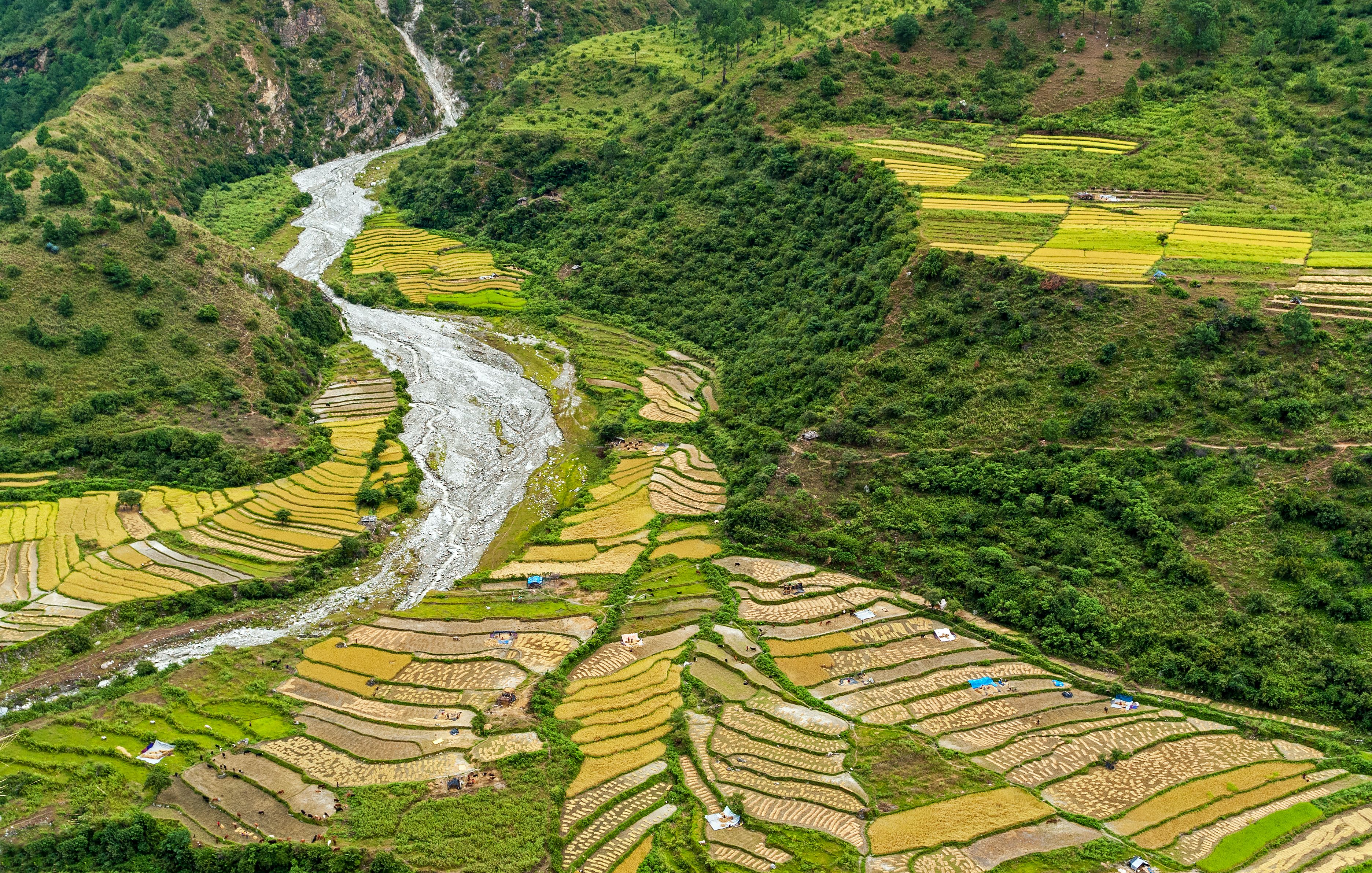 bhutan agriculture